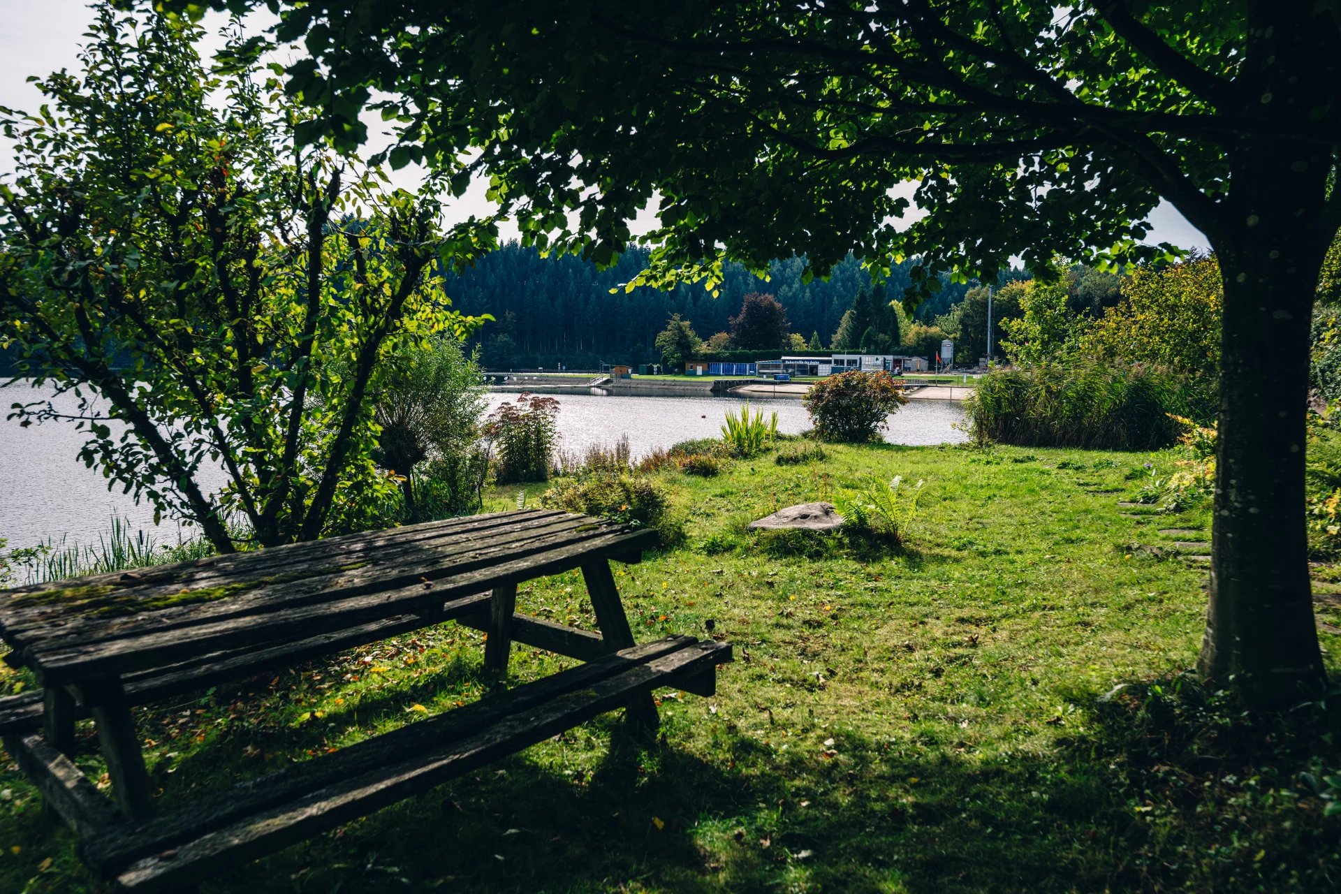 Ev Waimes - picture 17