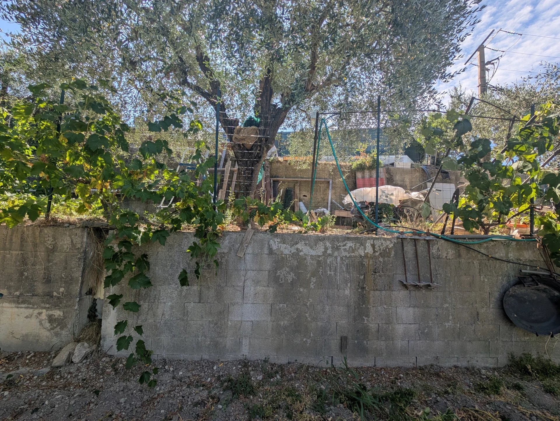 SAINT BLAISE : TERRAIN CONSTRUCTIBLE ! - Photo 3