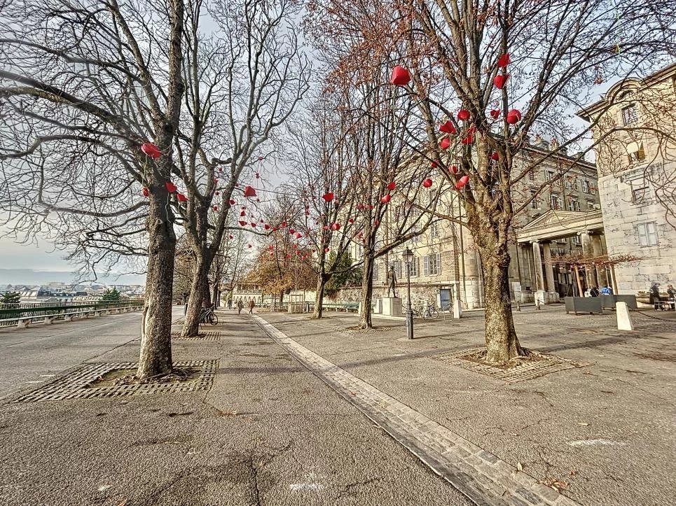 Elégance et charme au coeur de la cité de Calvin