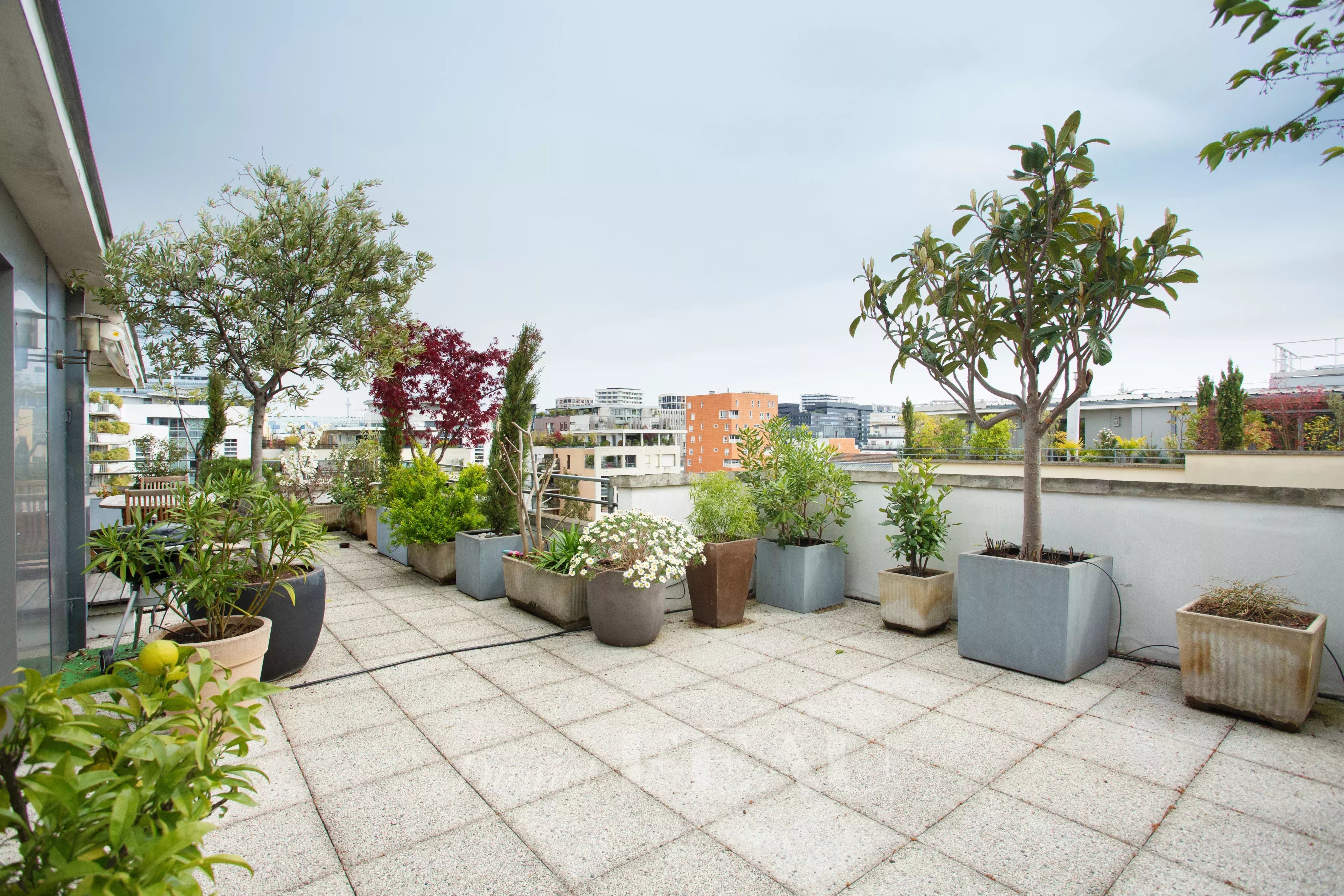 Terrasse arborée exposée Sud-Est
