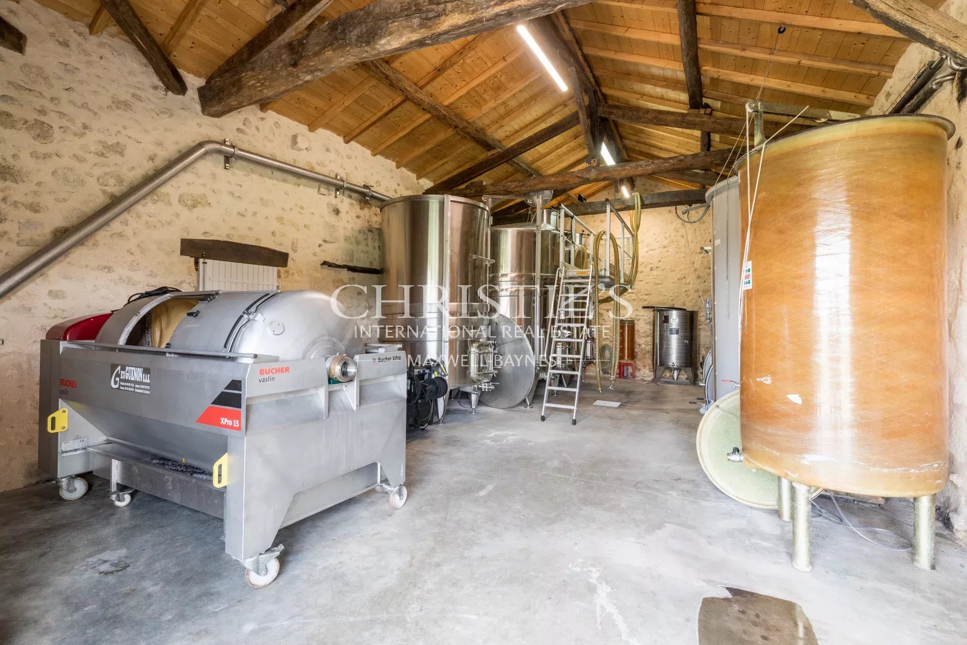 Vineyard's Image 12