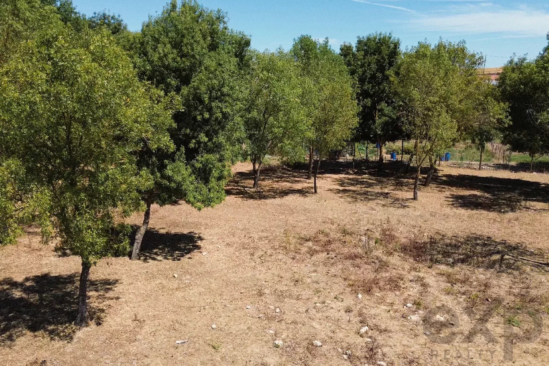Luxury Equestrian Property + Guest House 85992157 image 16
