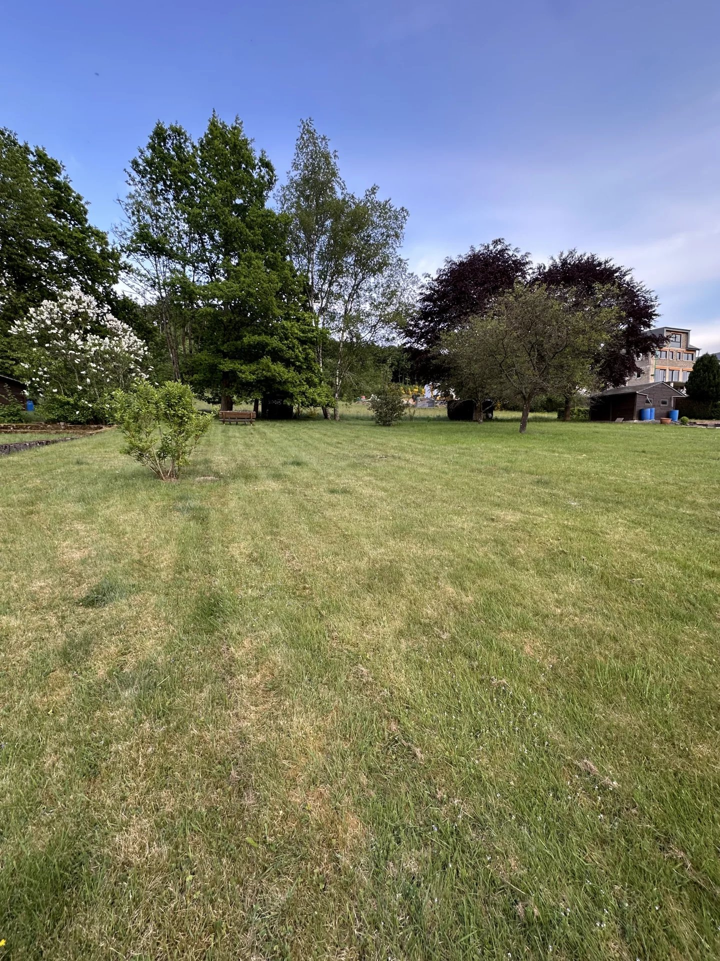 Image 25