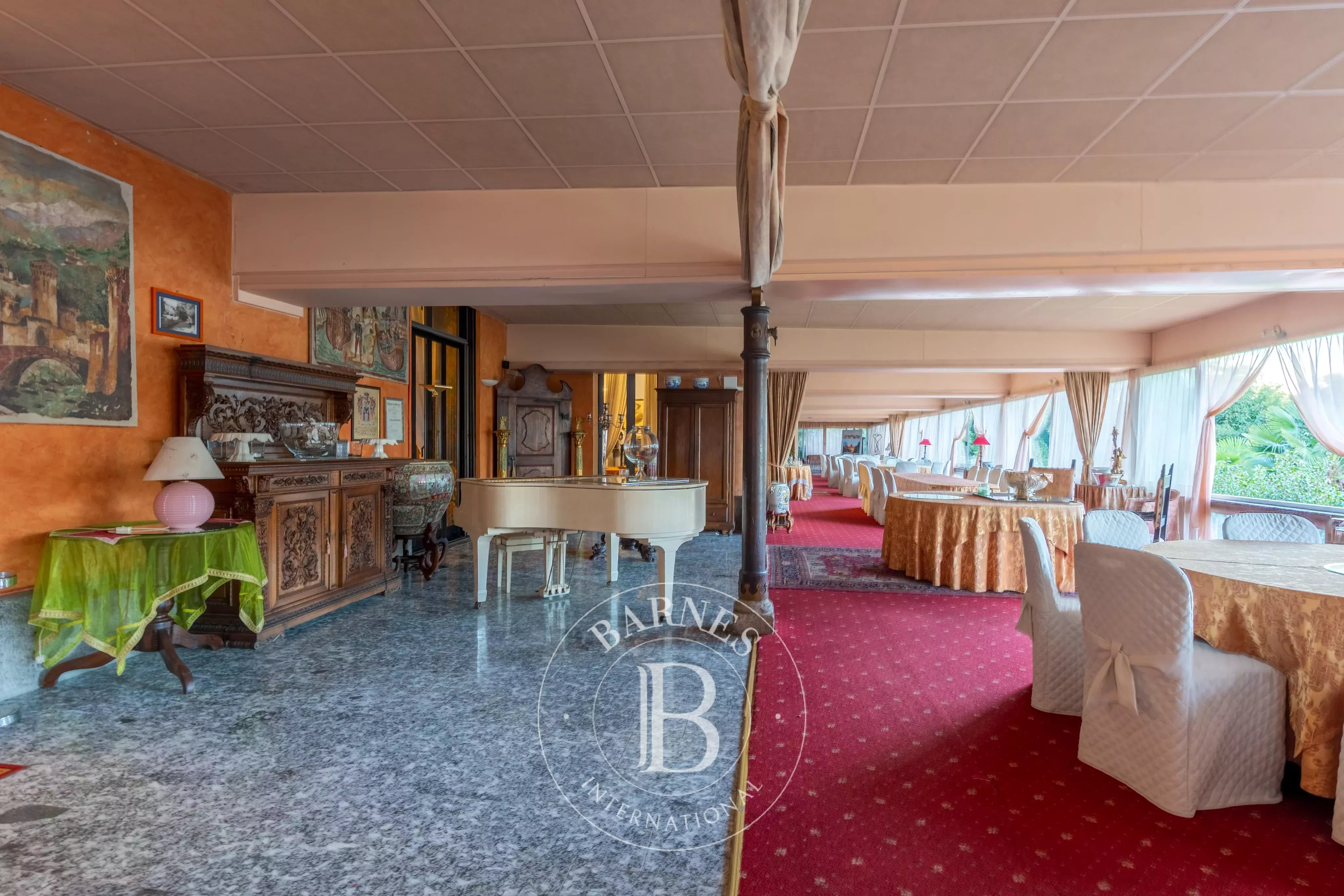 Saray Lesa - picture 13