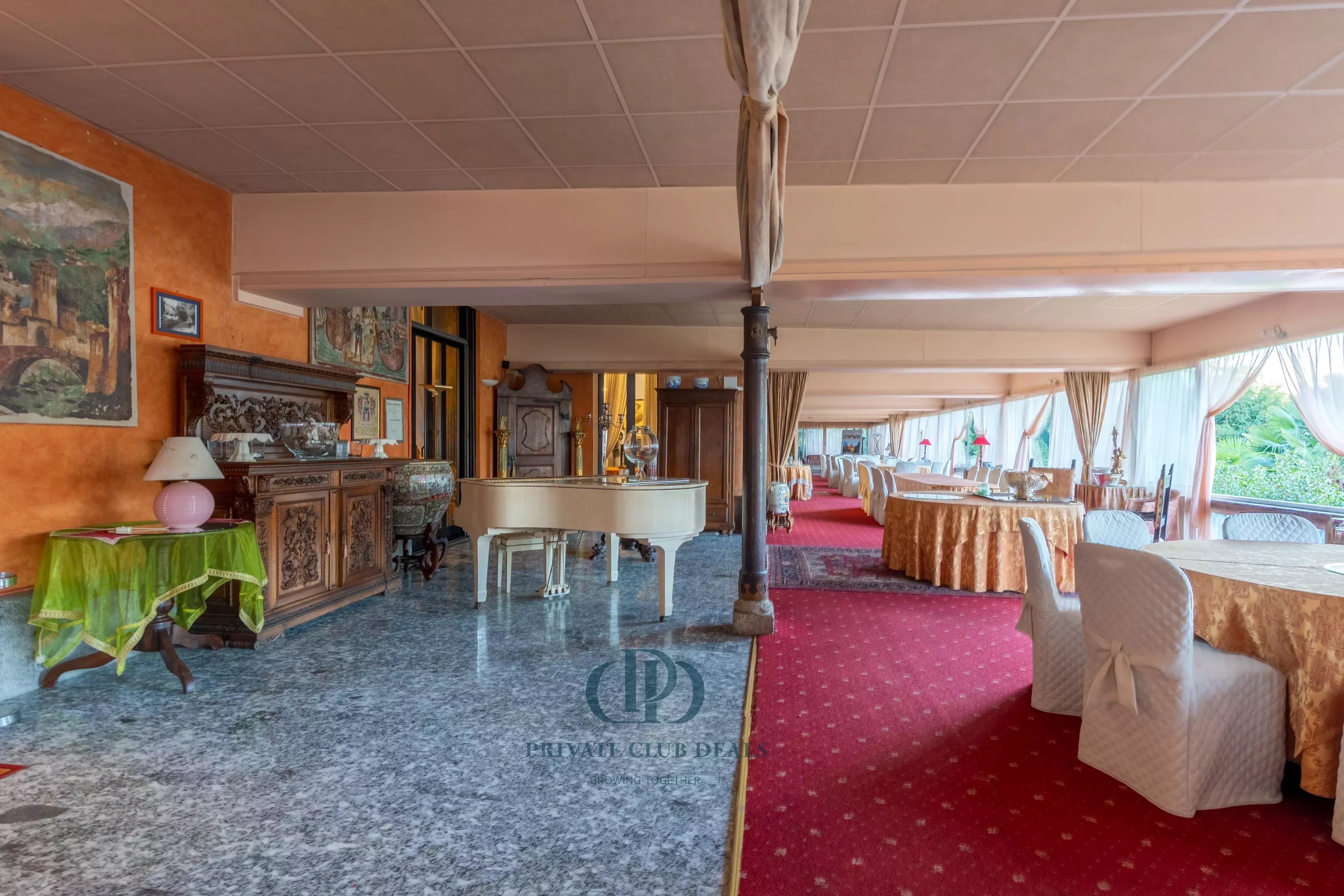 Saray Lesa - picture 13