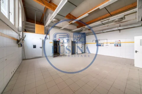 Magazzino---Capannone-in-vendita---Nalles-4