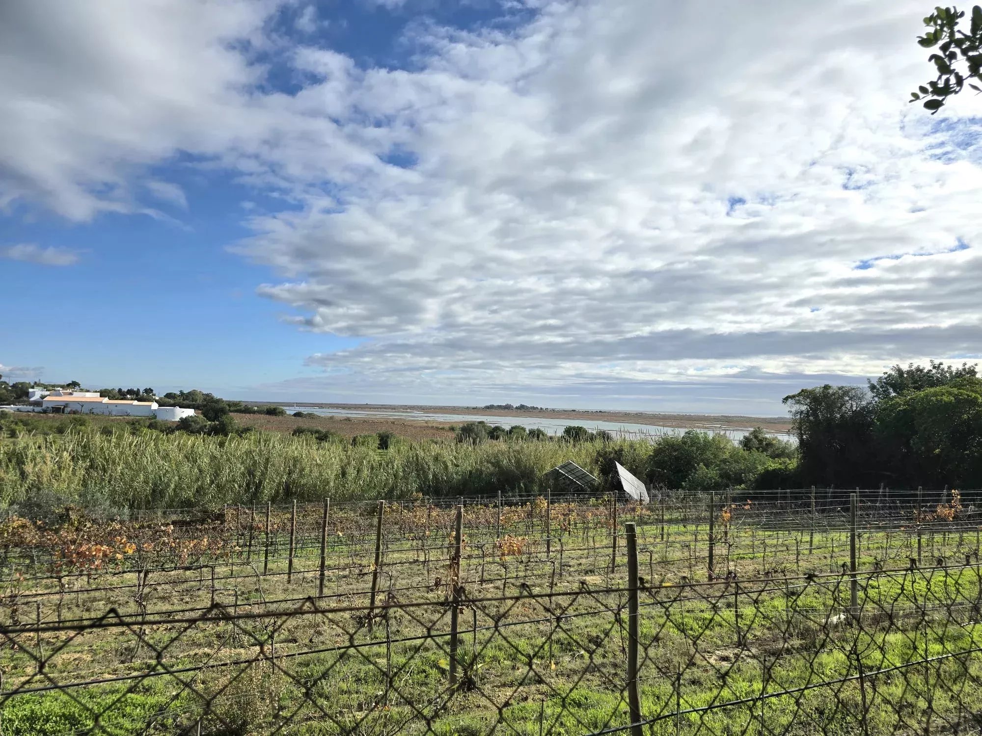 Quinta Exclusiva a 200m da Ria Formosa | Pedras d&rsquo;El Rei | Luxo Natural e Intemporal