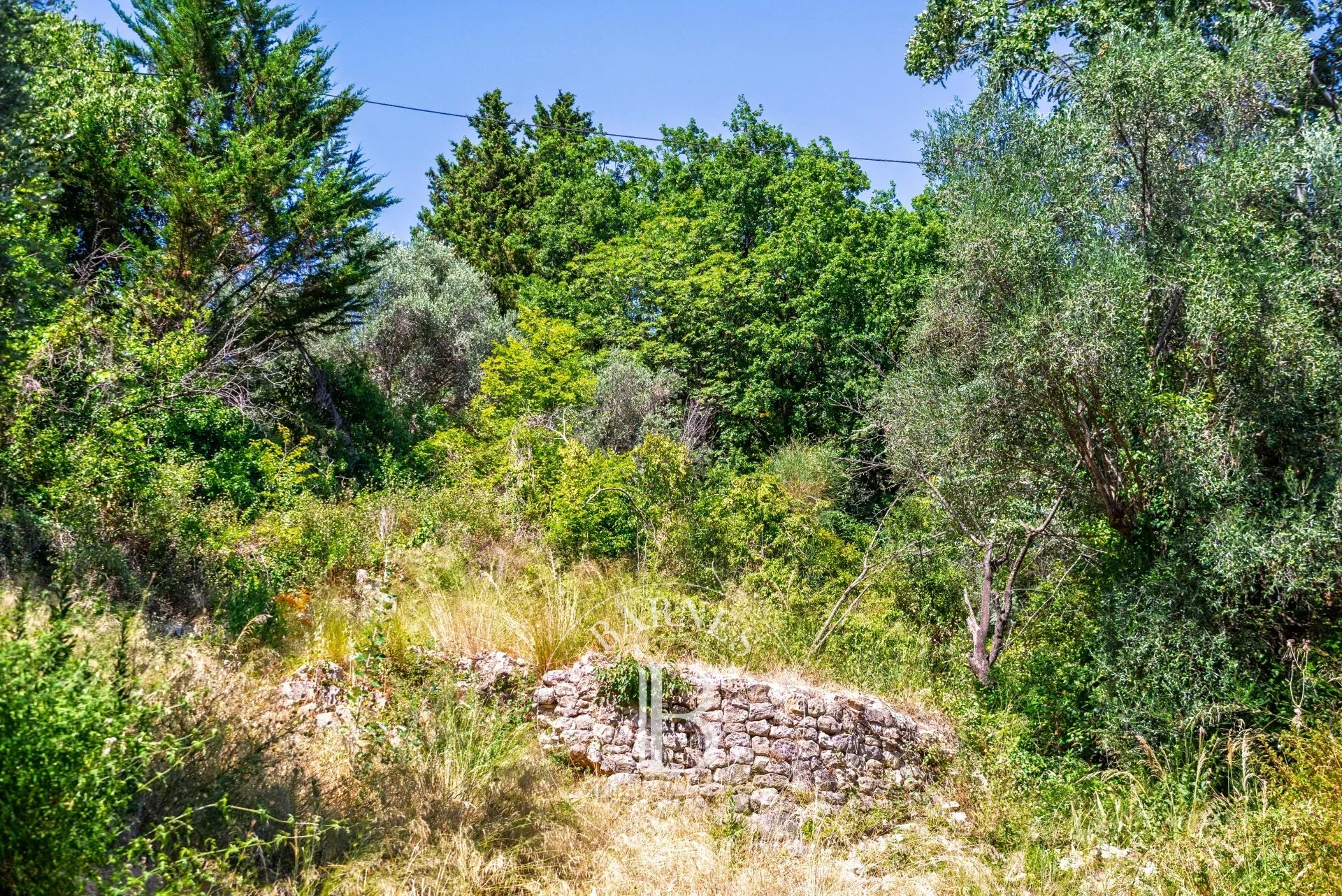 Grasse  - Terrain  - picture 8