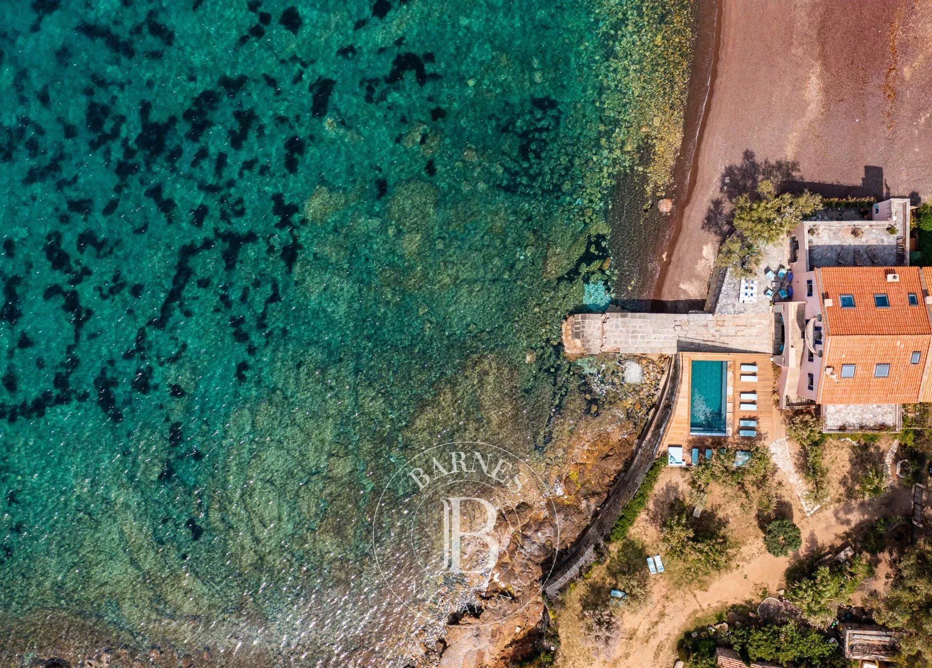 Calvi  - Villa  - picture 4