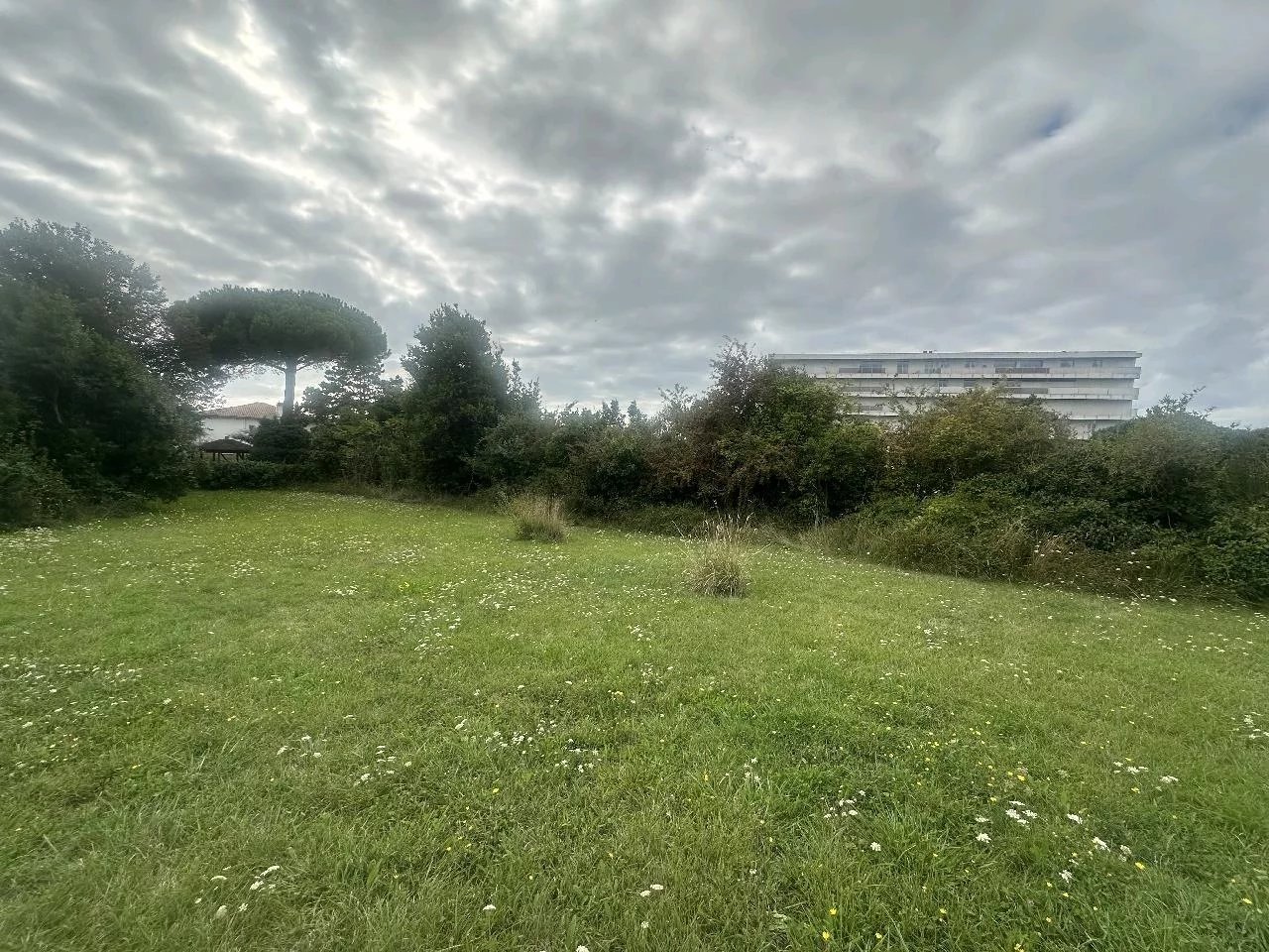 Vente Terrain Saint-Georges-de-Didonne