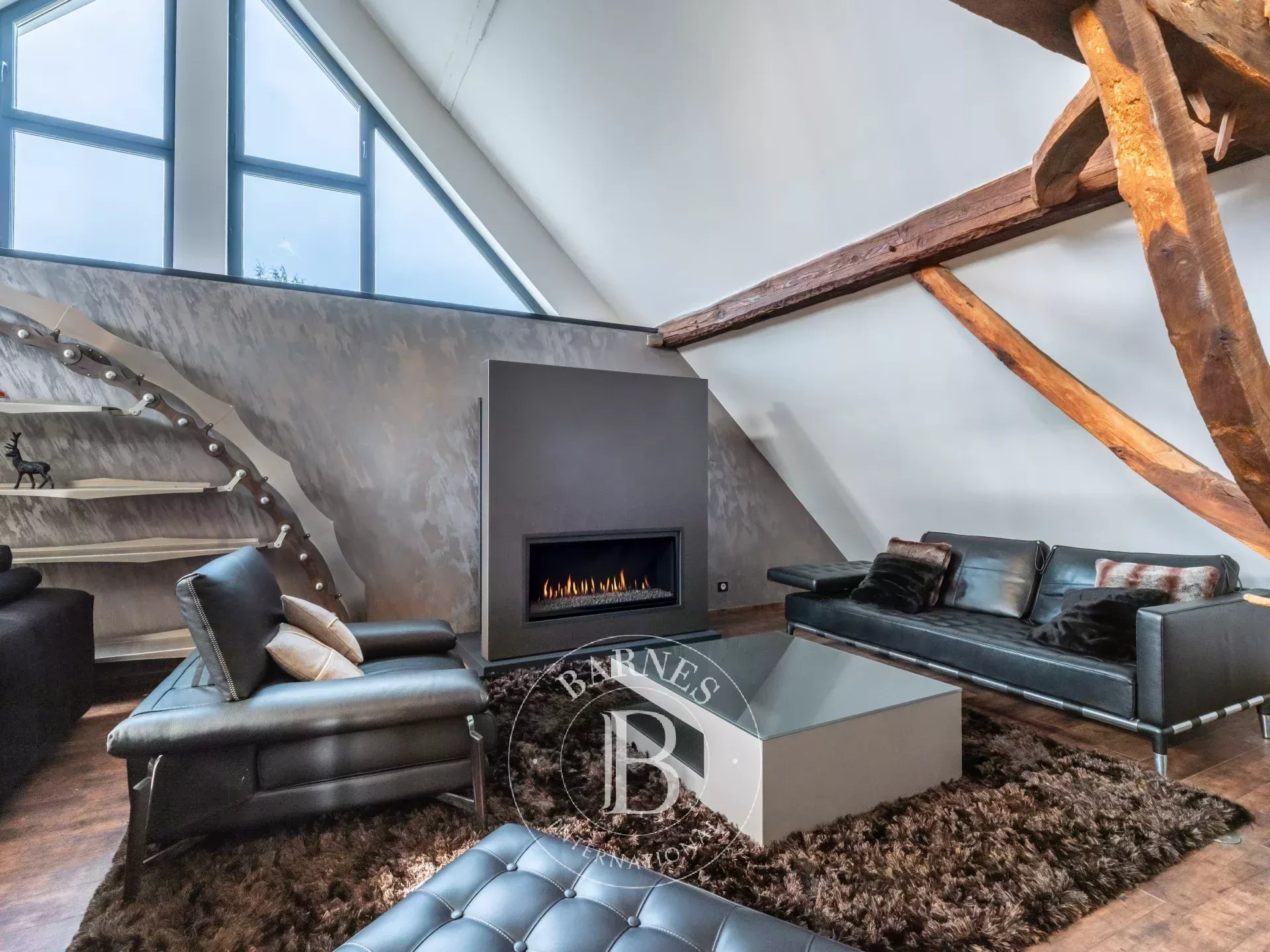 Loft Annecy - picture 6