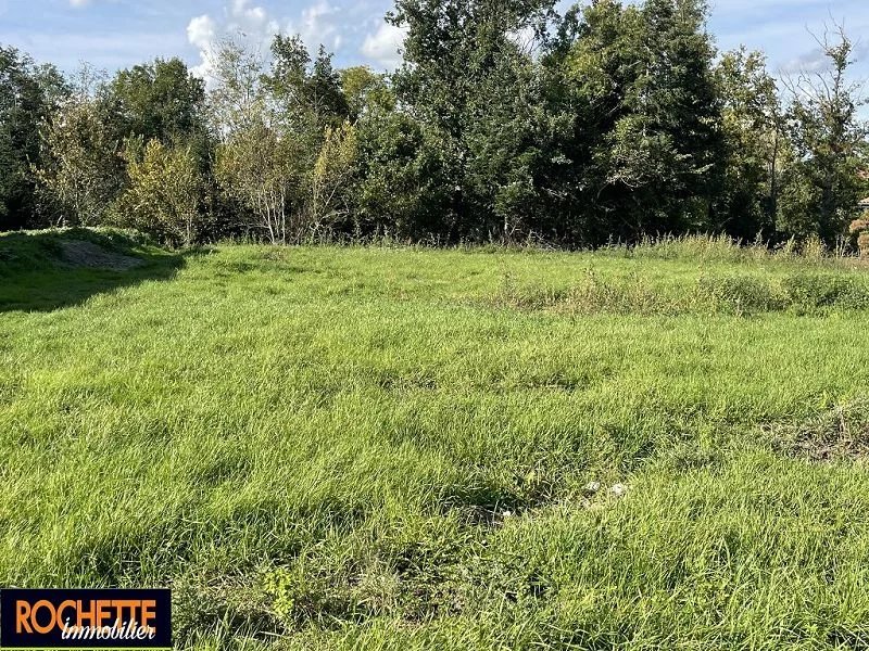 Vente Terrain Nervieux