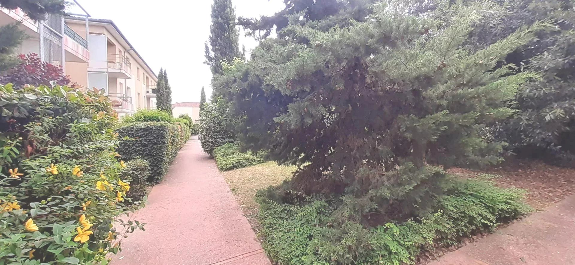ANGOULEME - LE PETIT FRESQUET / MA CAMPAGNE