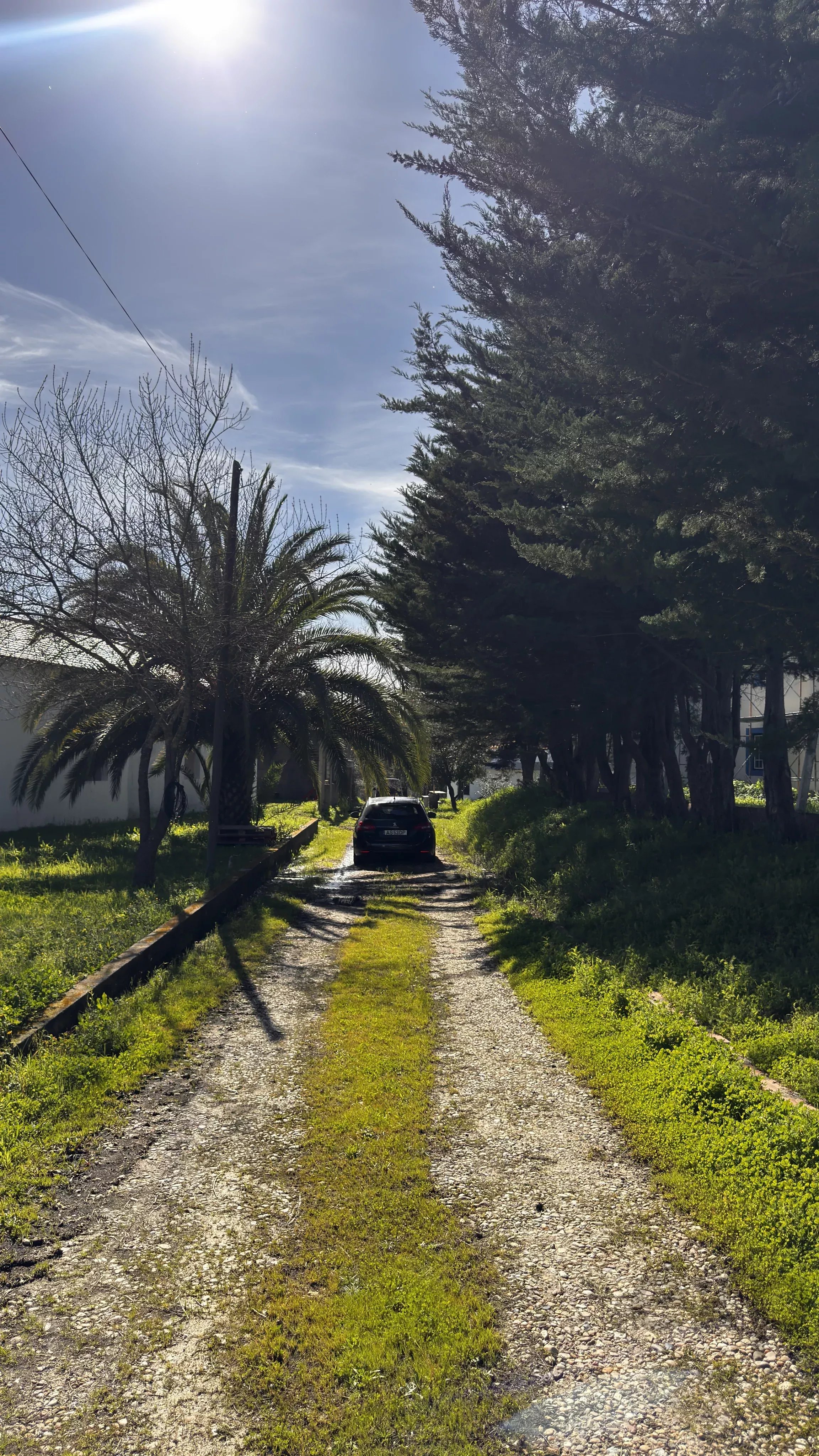 Estate in Arraiolos, Évora 86141659 image 14
