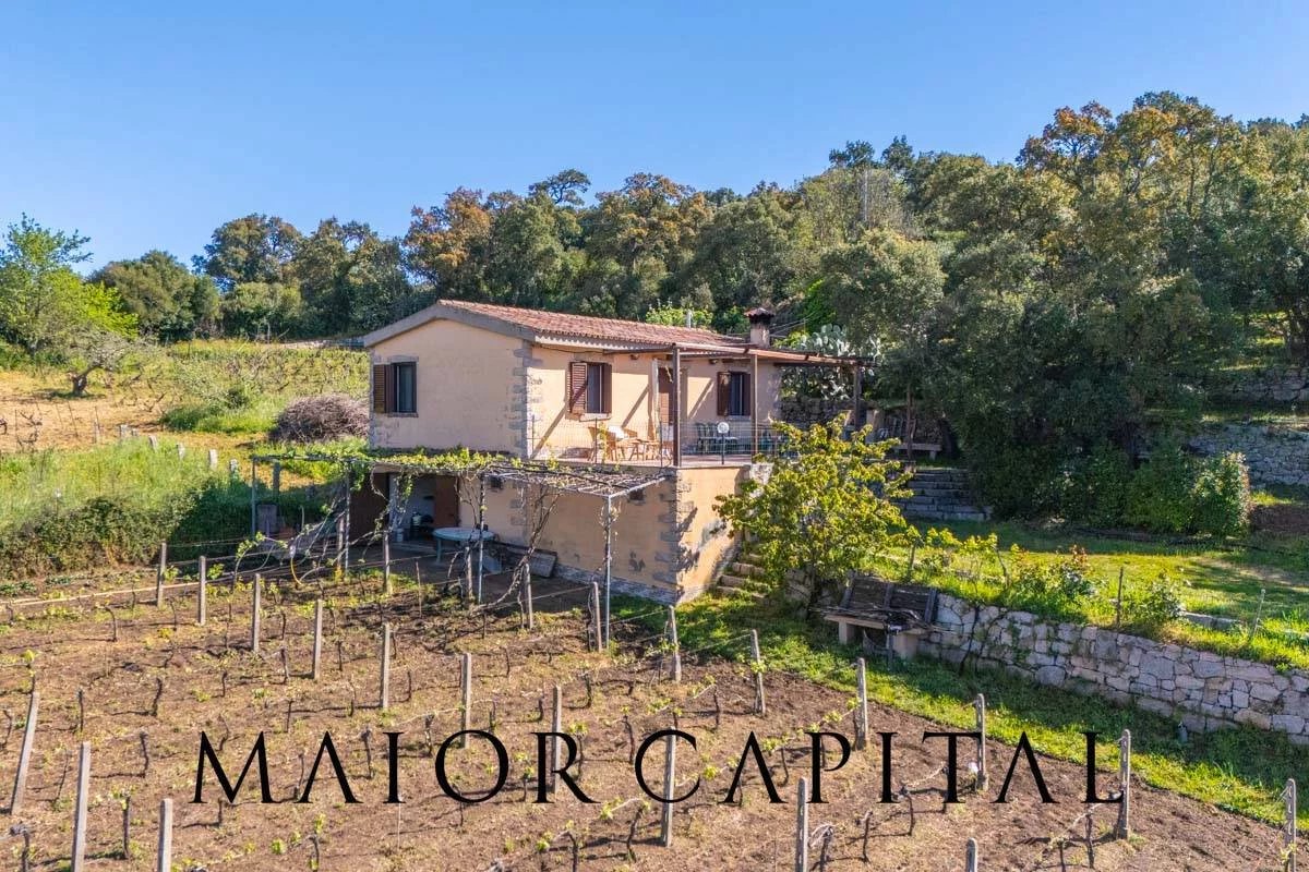 Calangianus, La Talga | Casa di campagna con vigneto e frutteto