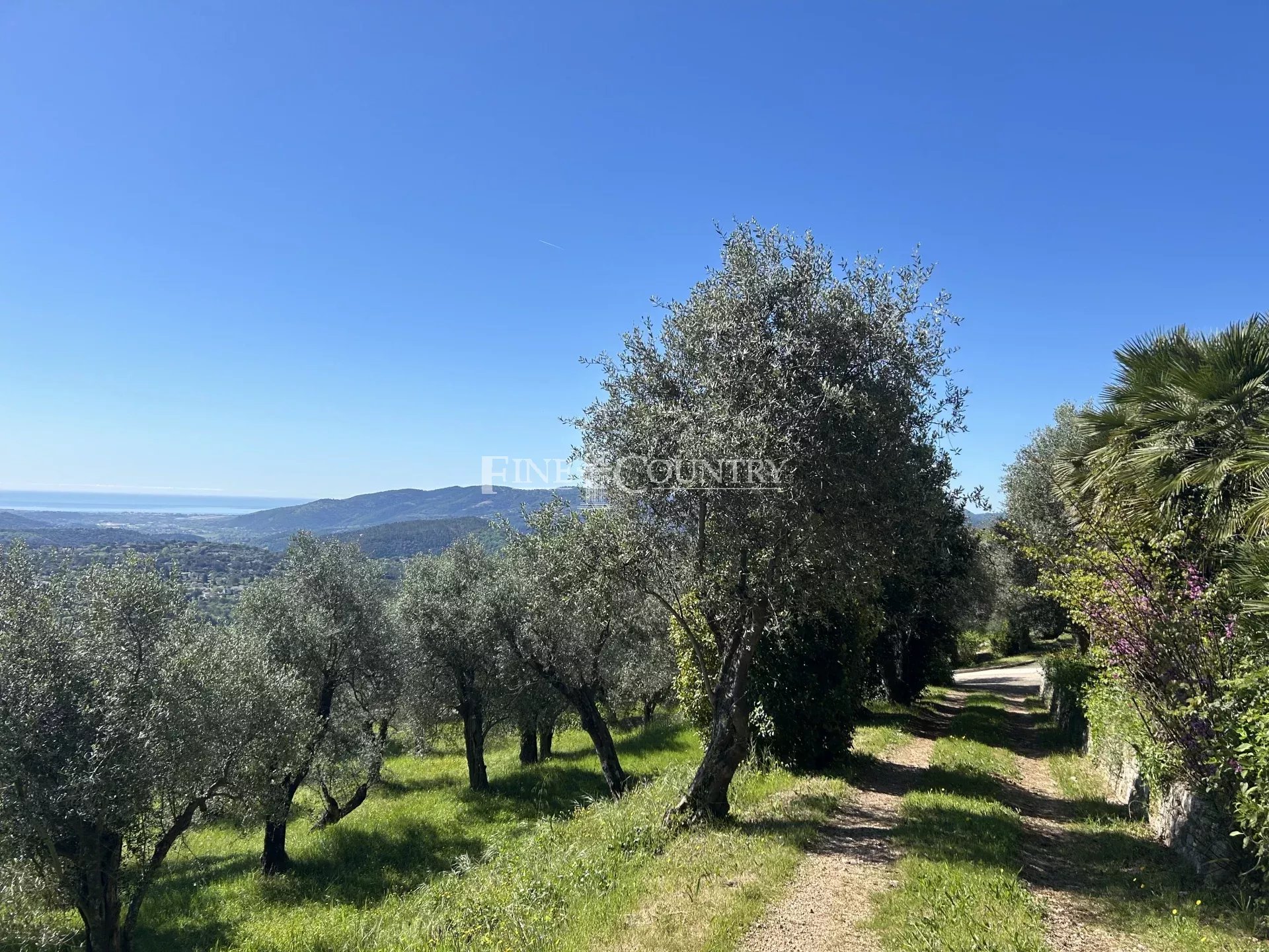 Photo of Estate for sale in Grasse