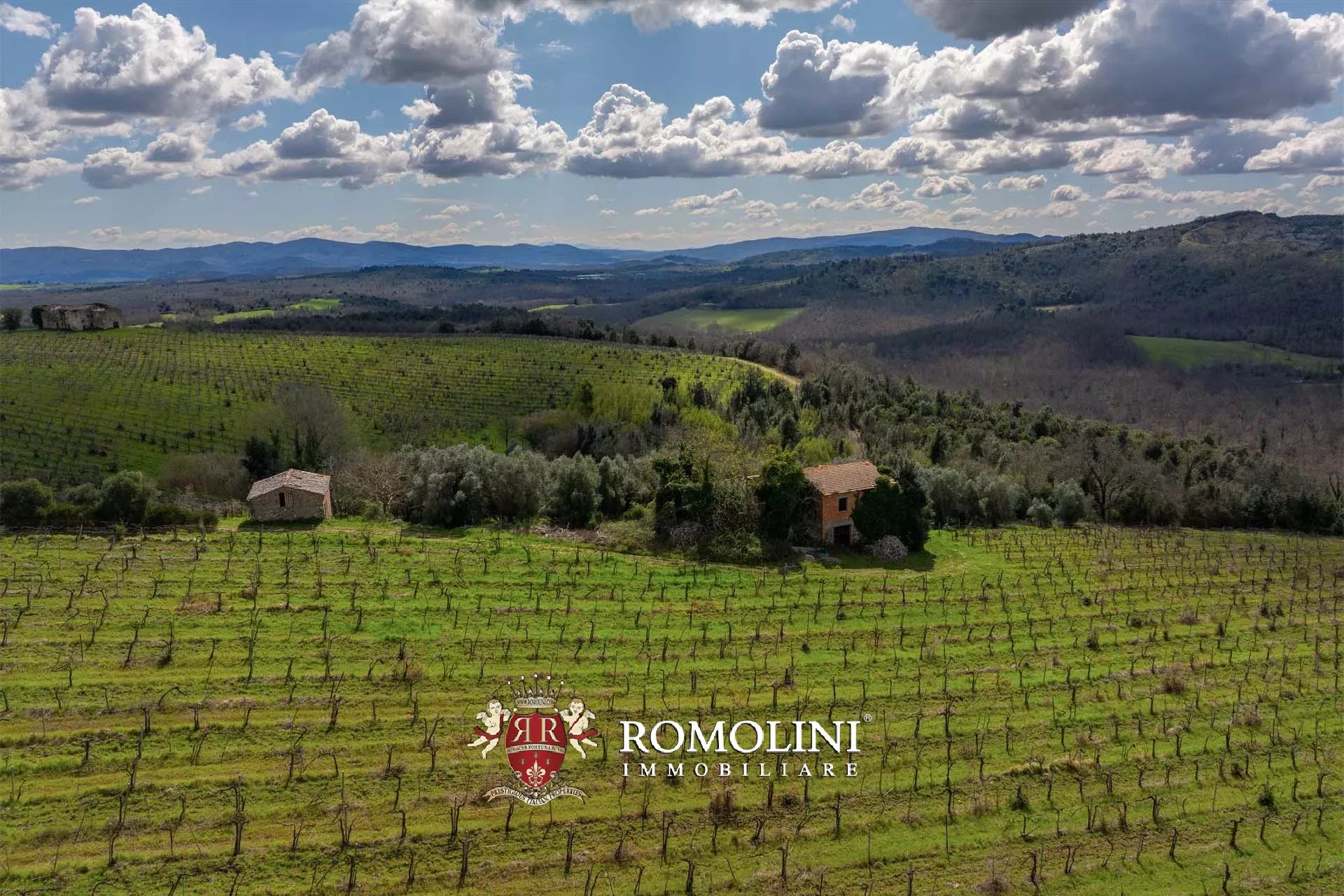 35 Bedroom Vineyard's Image 26