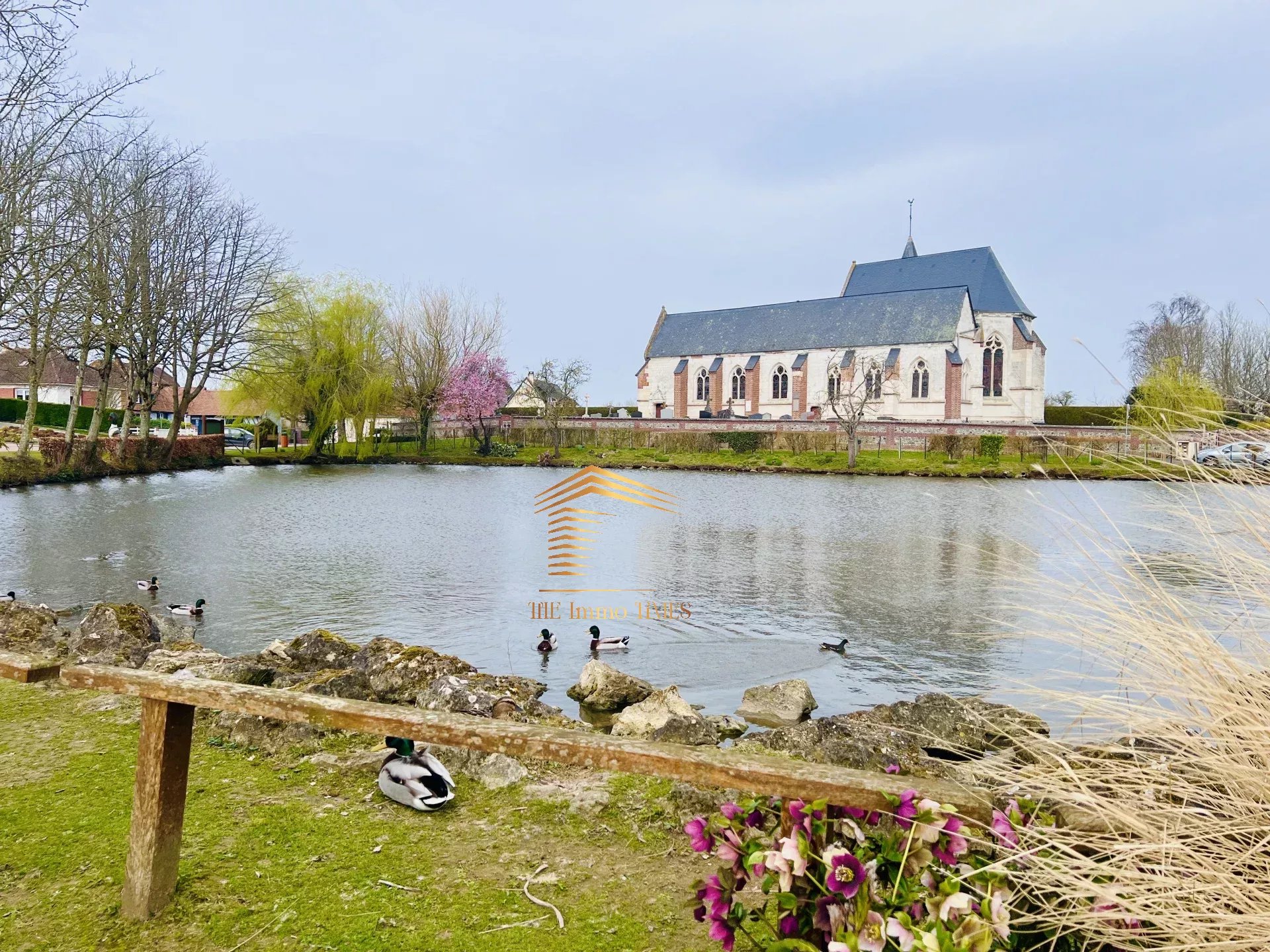 Agence immobilière de The Immo Times