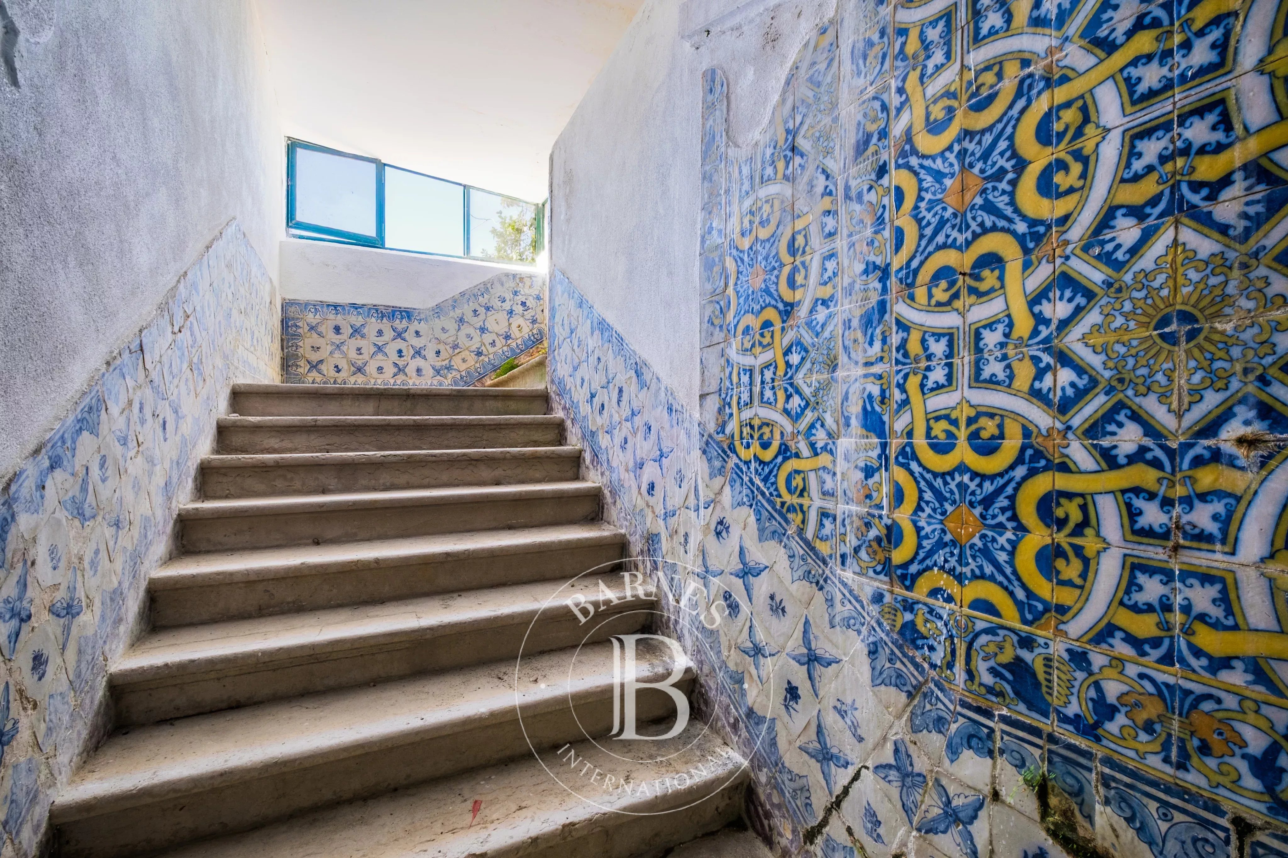 86230805 – São Vicente