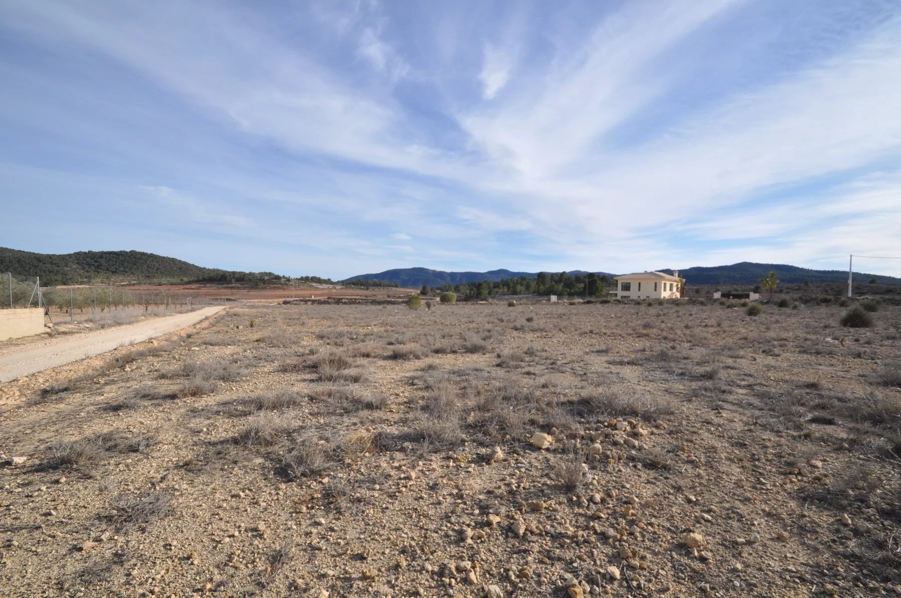 Vente Terrain Pinoso