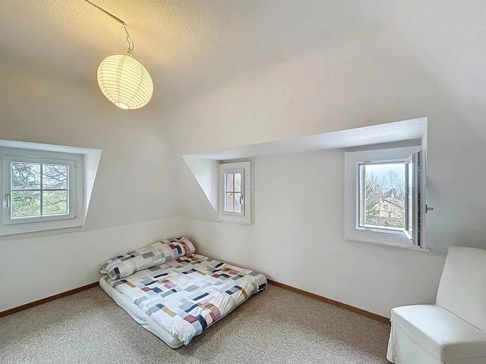 Appartement de charme sous les combles ! Jardin commun !