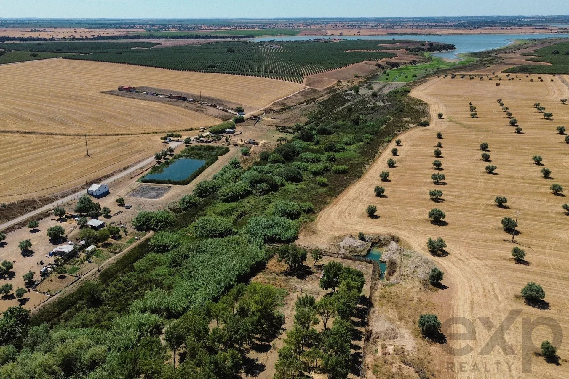 Luxury Equestrian Property + Guest House 85992157 image 2