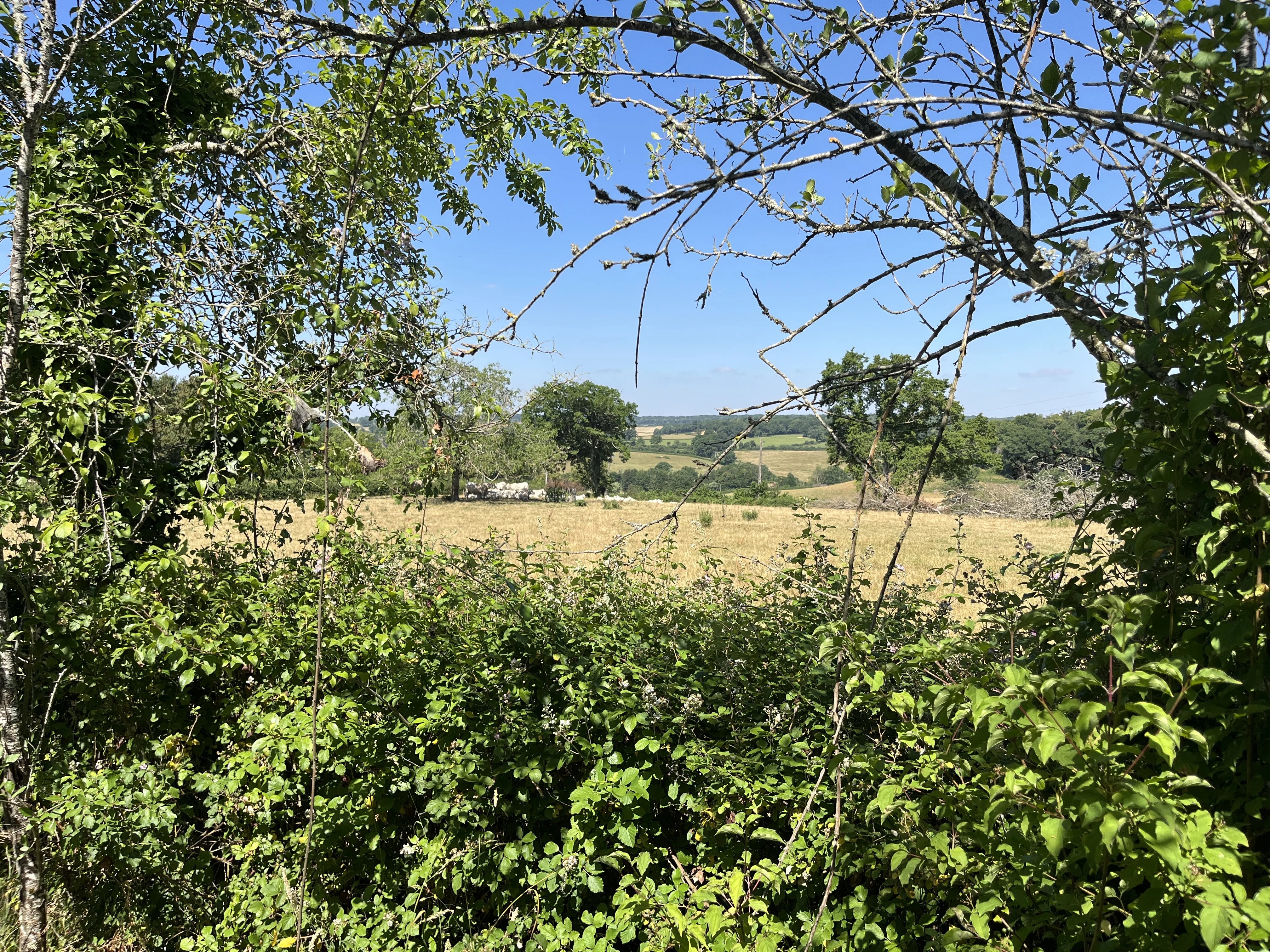 Ensemble immobilier avec gîte indépendant. piscine et vue dégagée – Morvan — photo 10