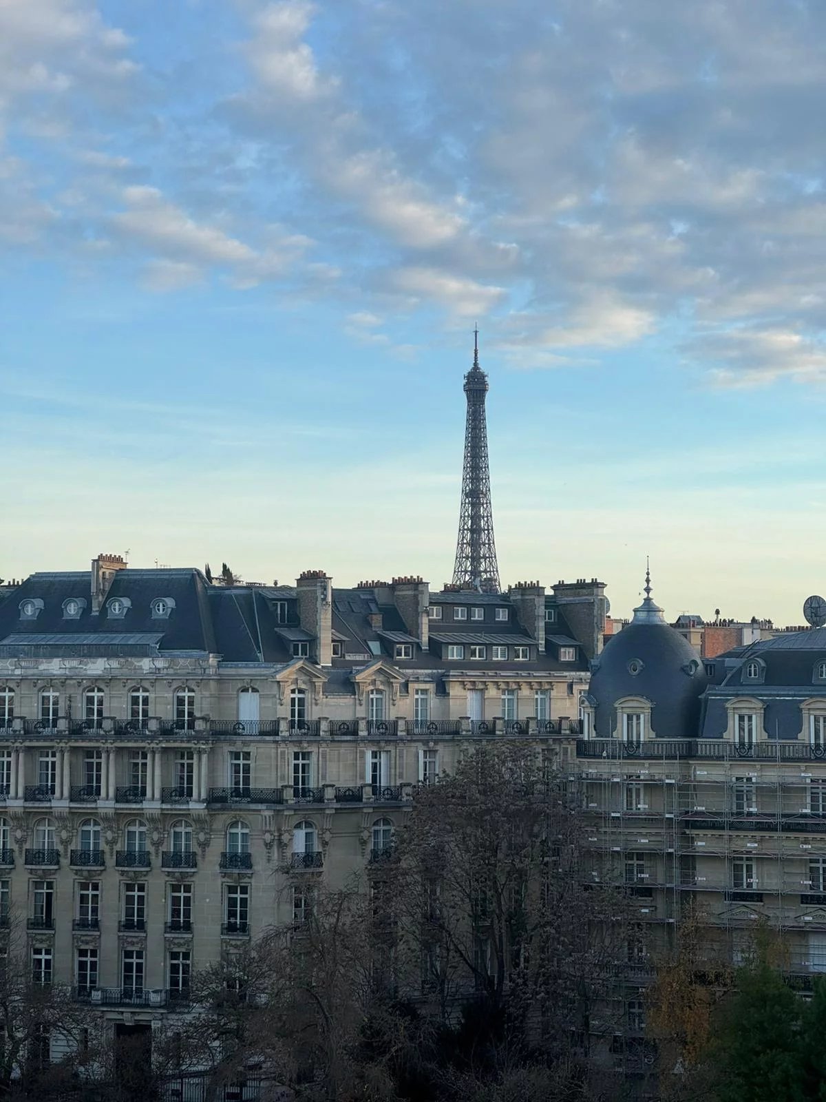 PARIS XVI // FOCH