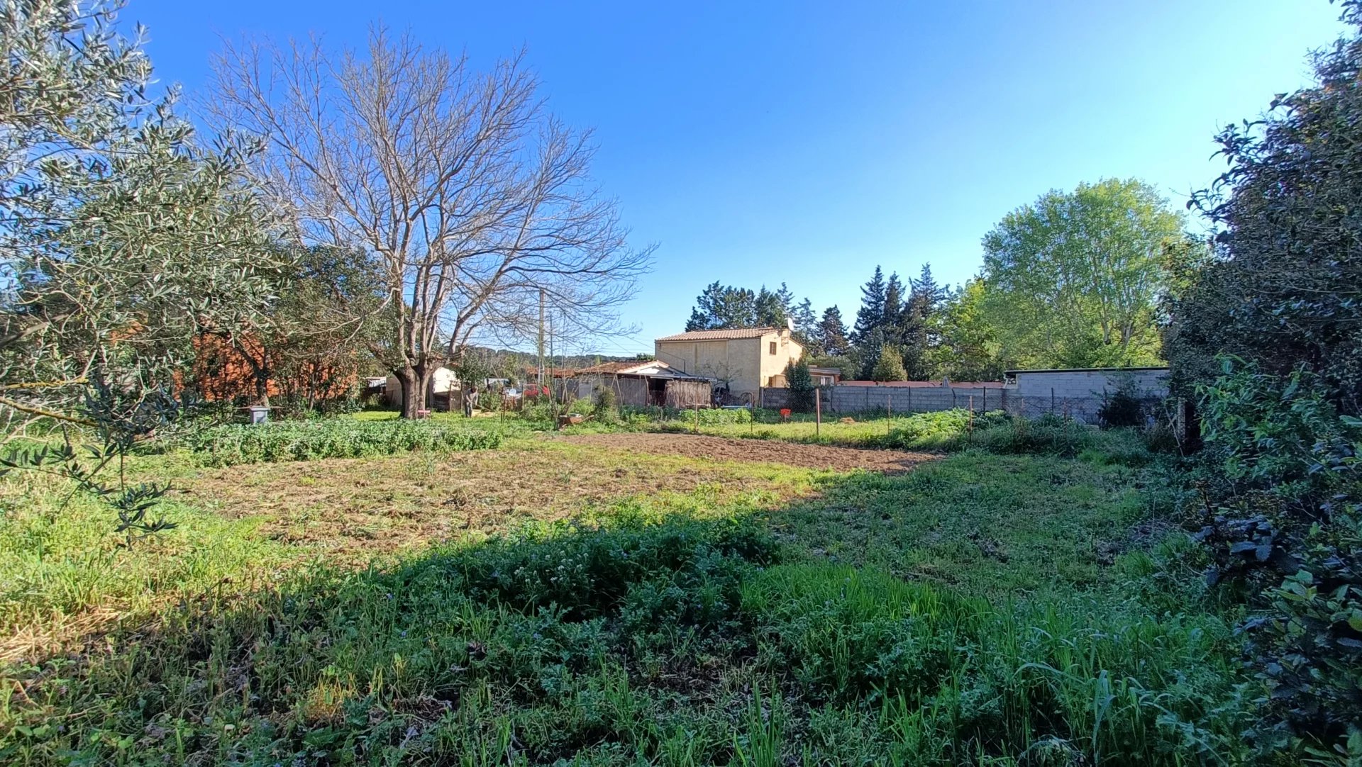 TERRAIN VIABILISÉ - 745M2 - LIGNAN SUR ORB