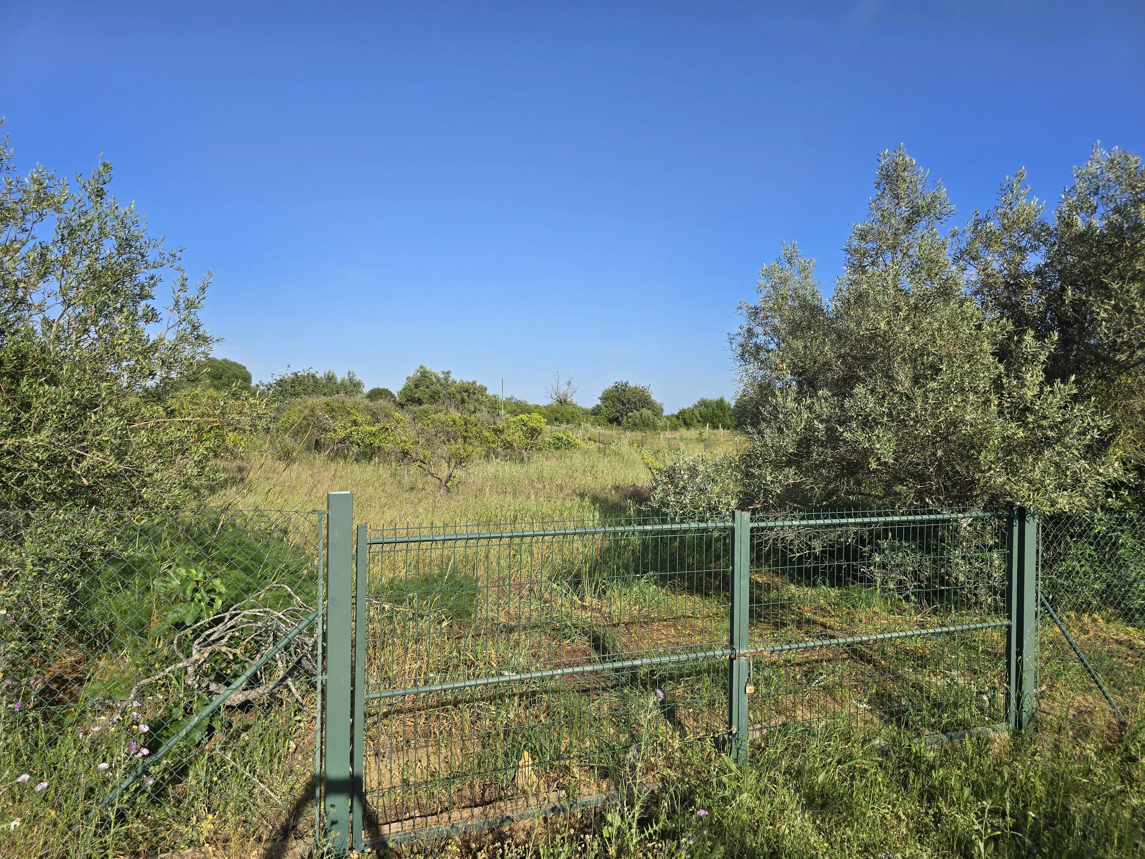 6 room Farmhouse with 1.5 hectares of land and sea view 86949039 image 13