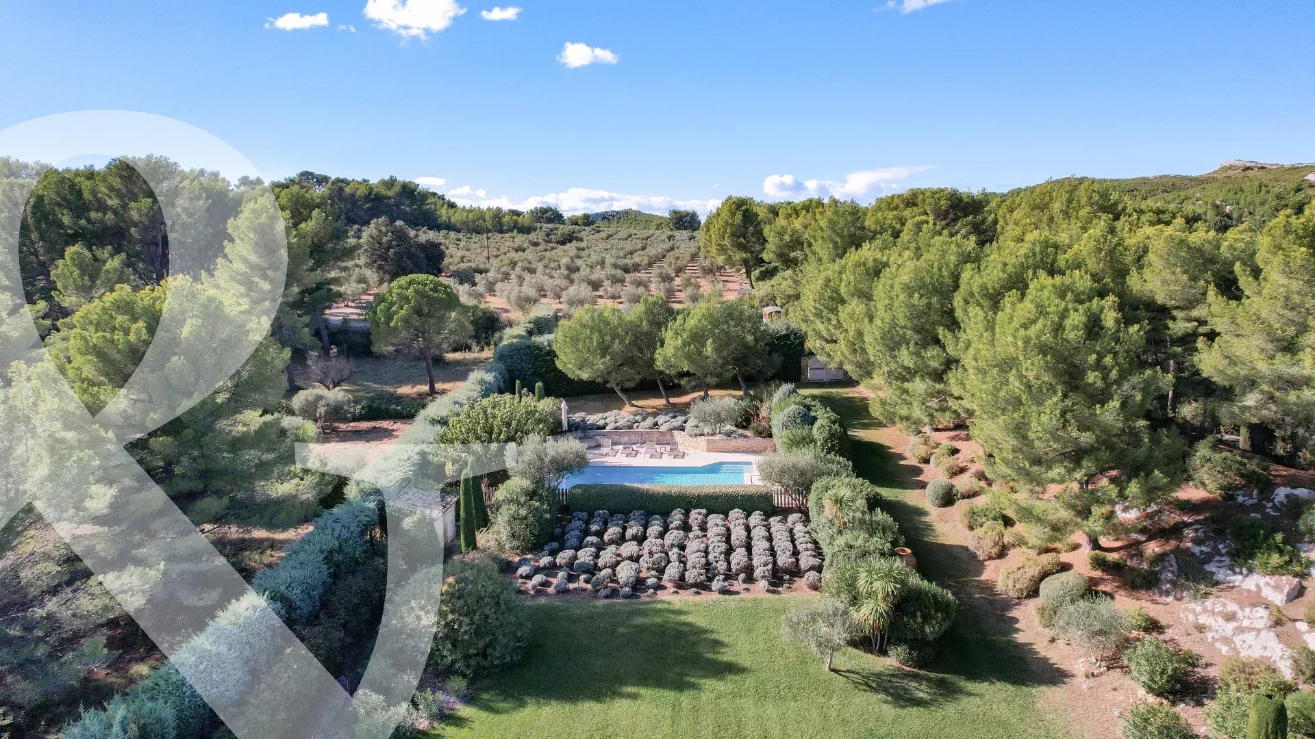 IMMERSION DANS  LES ALPILLES