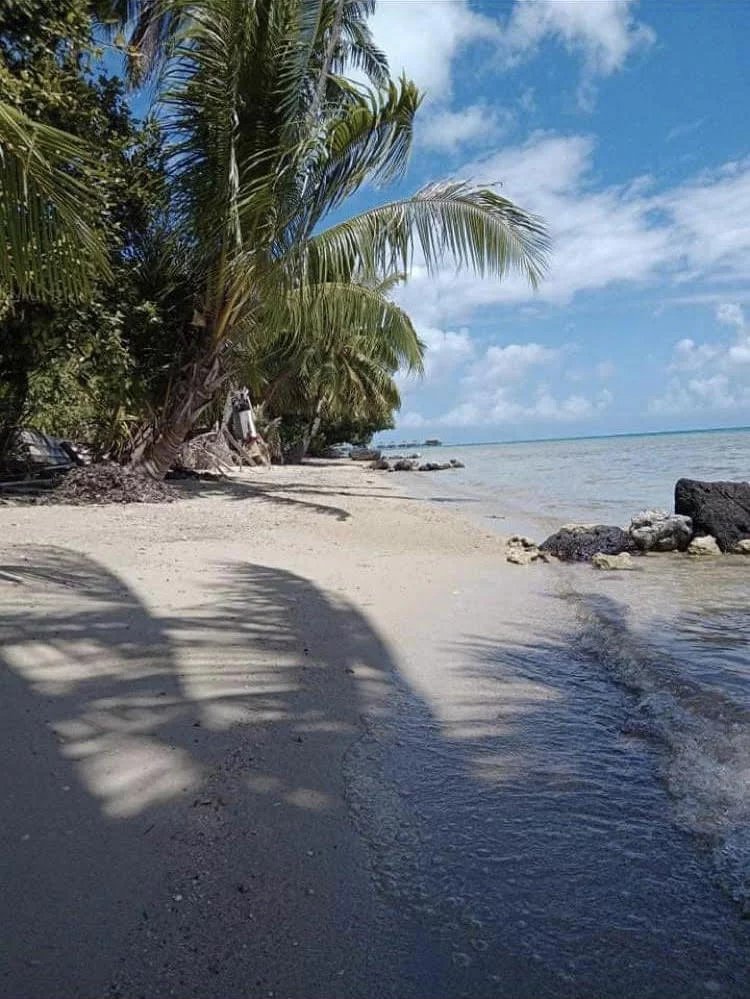 Magnifique Terrain Bora Bora Motu Toopua