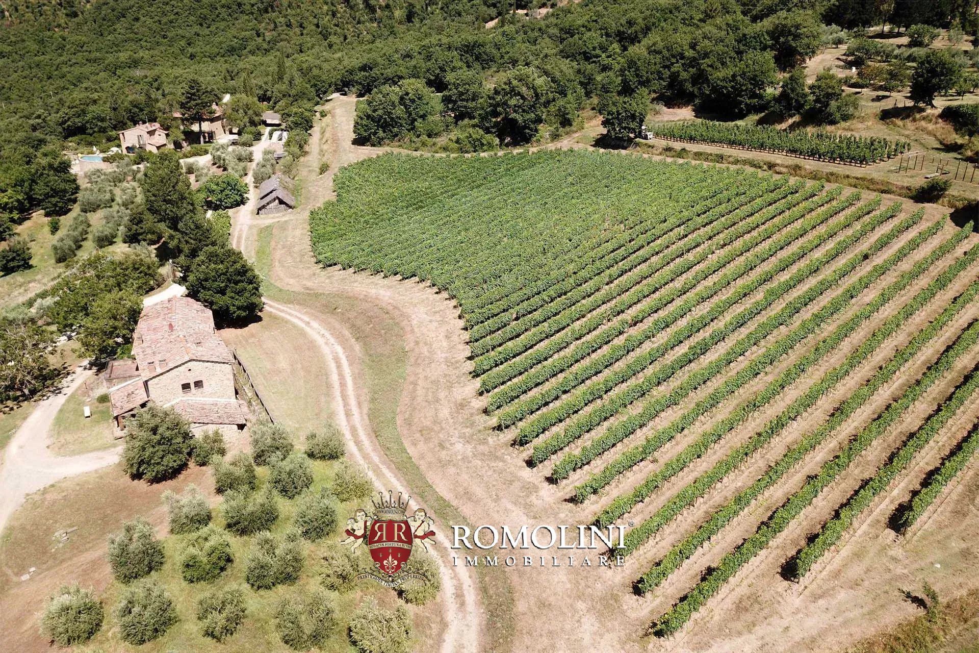 16 Bedroom Vineyard's Image 31