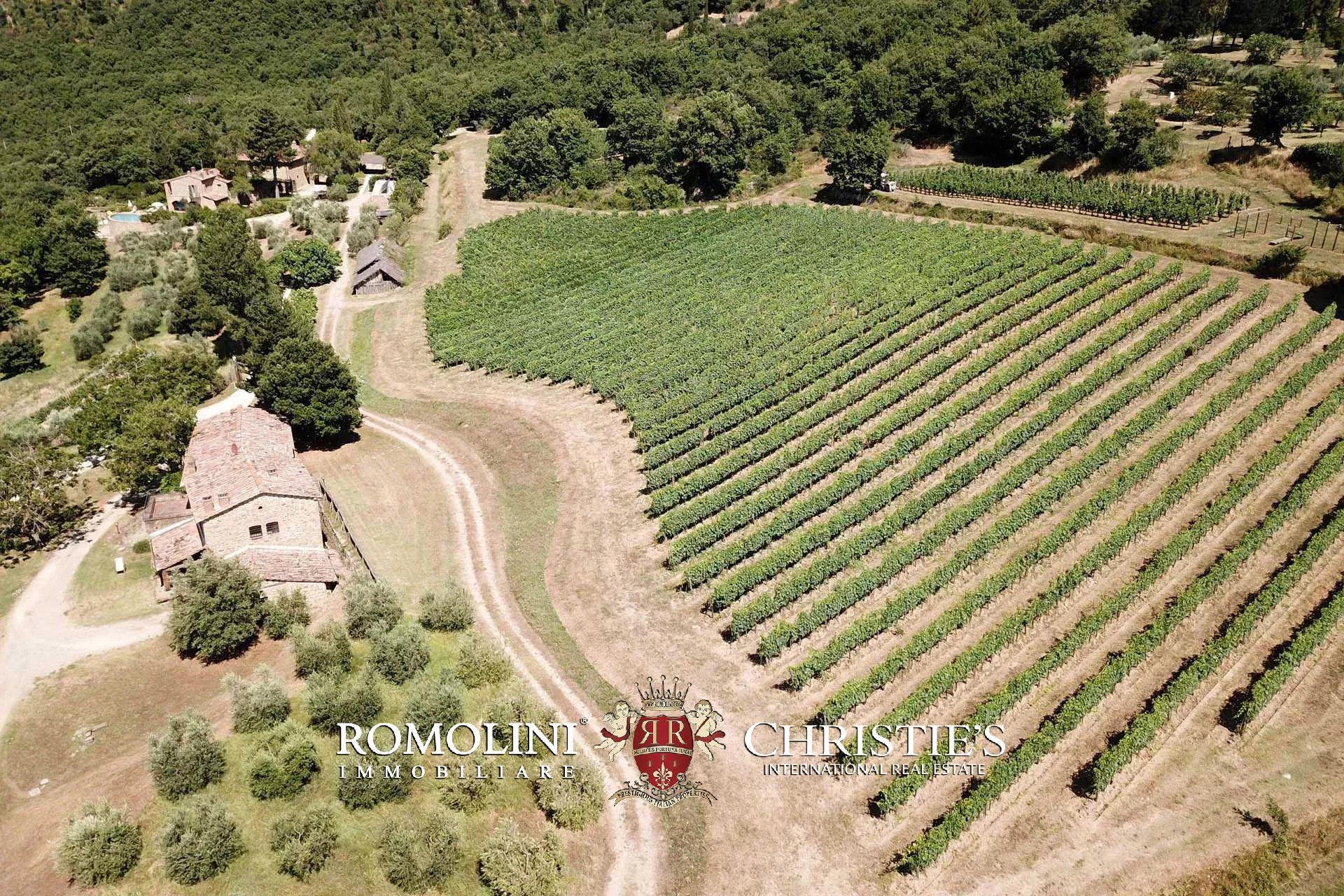 TENUTA VINICOLA BIOLOGICA IN VENDITA, CANTINA BIO TOSCANA