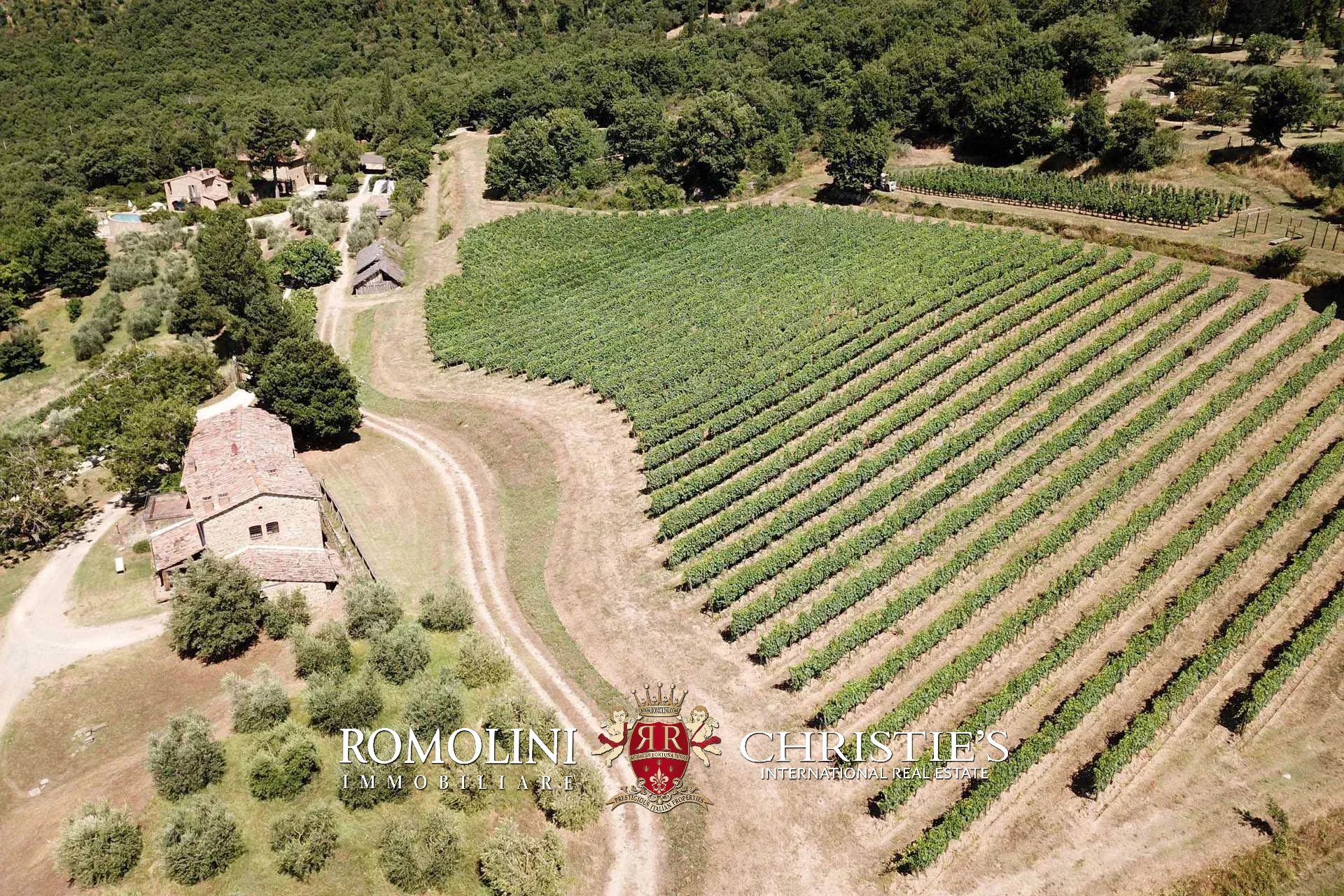 16 Bedroom Vineyard's Image 31