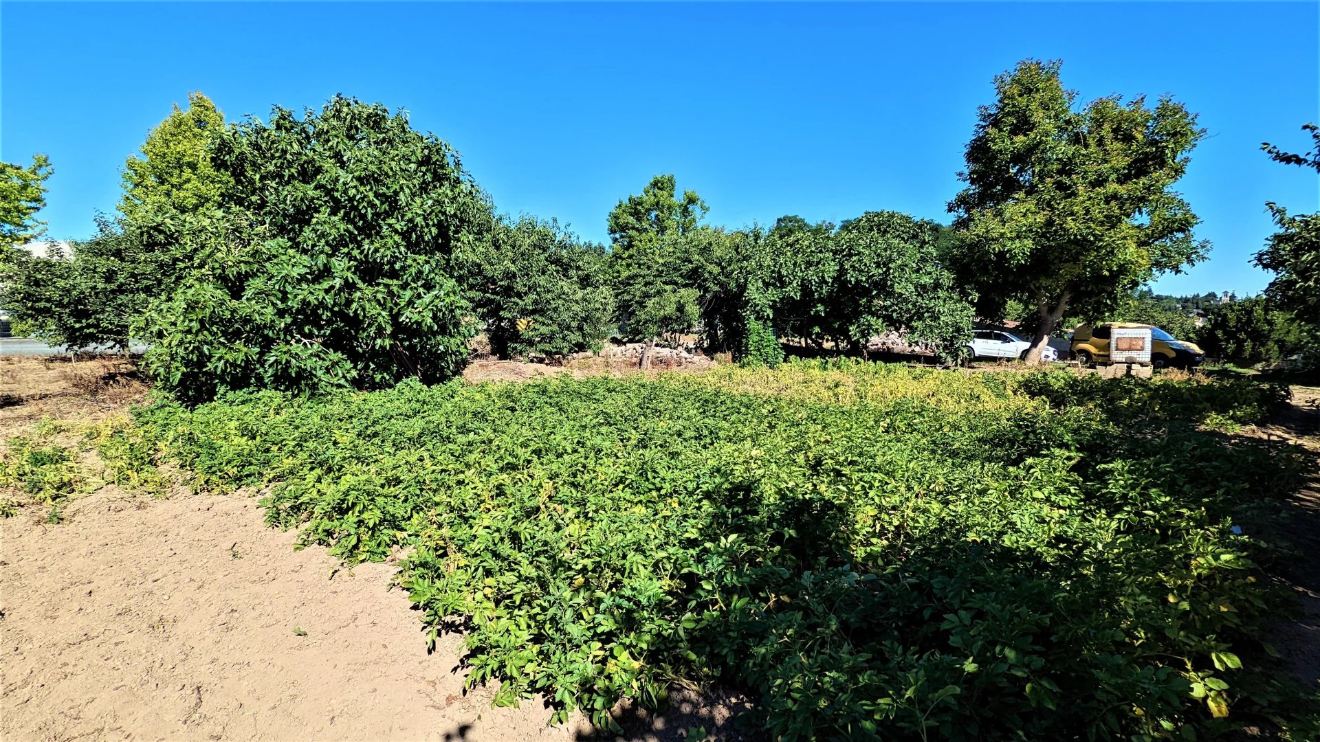 Vente Terrain Cerizay