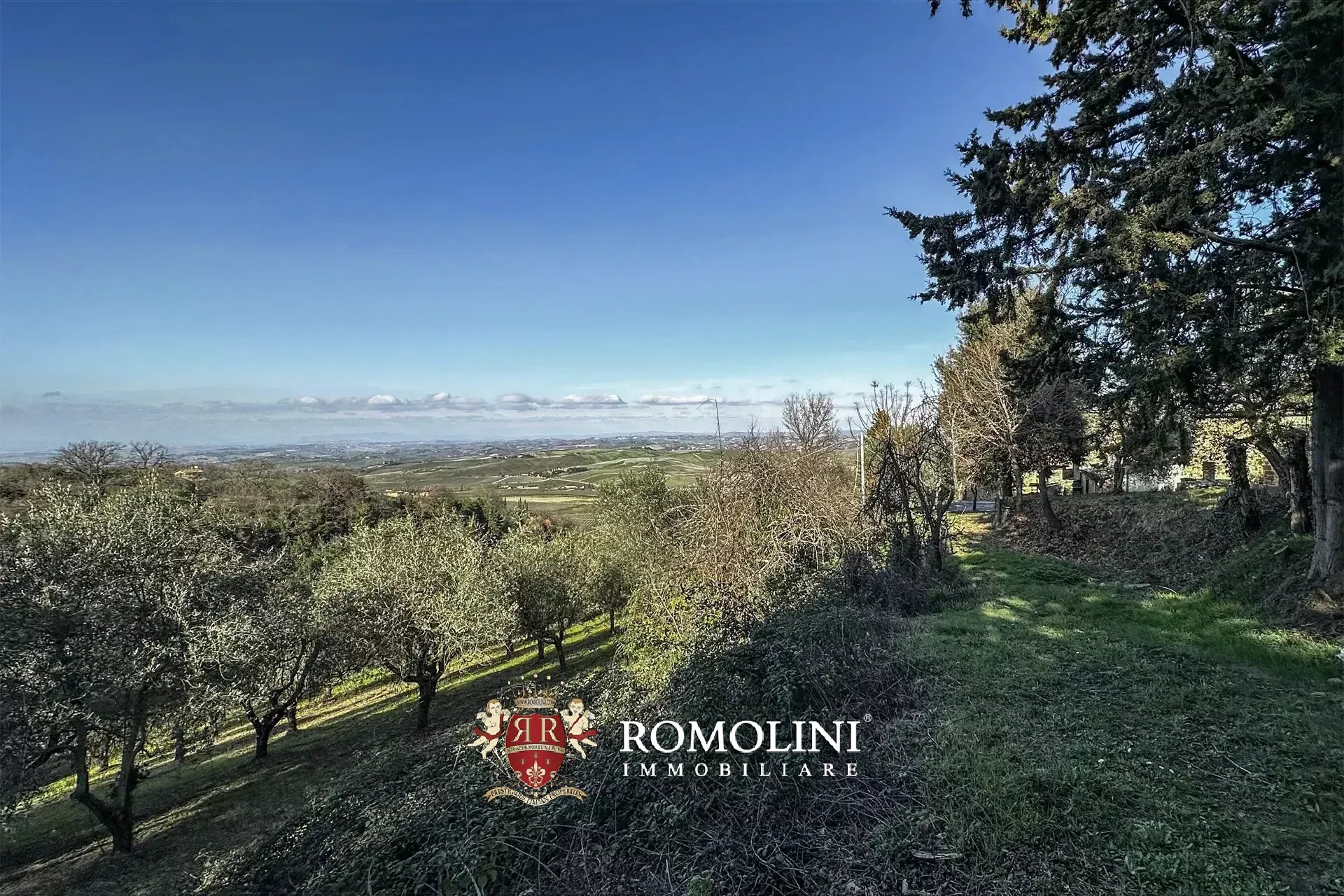 4 Bedroom Vineyard's Image 9