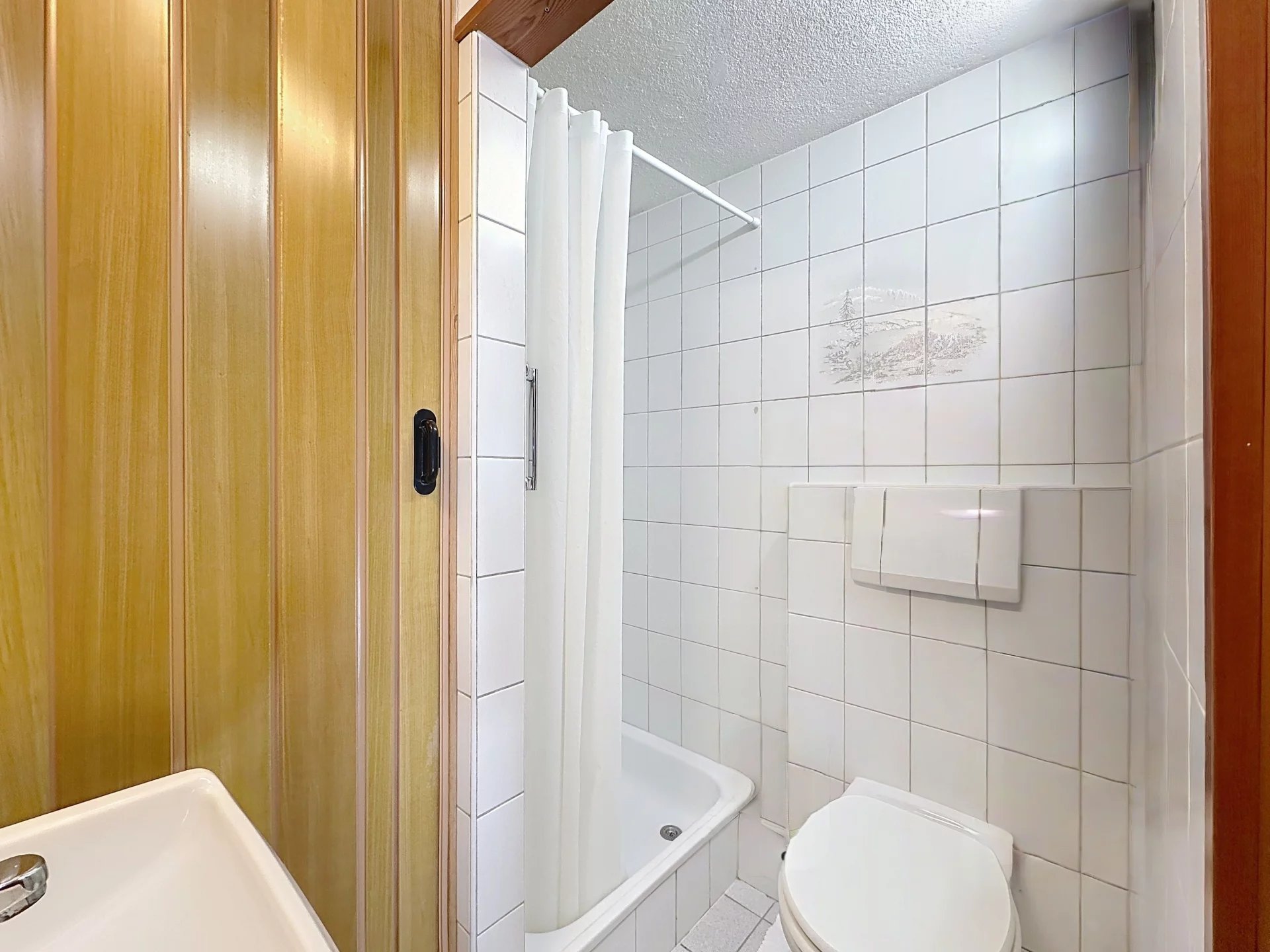 Vue panoramique sur le Mont-Blanc et la Cime de l'Est