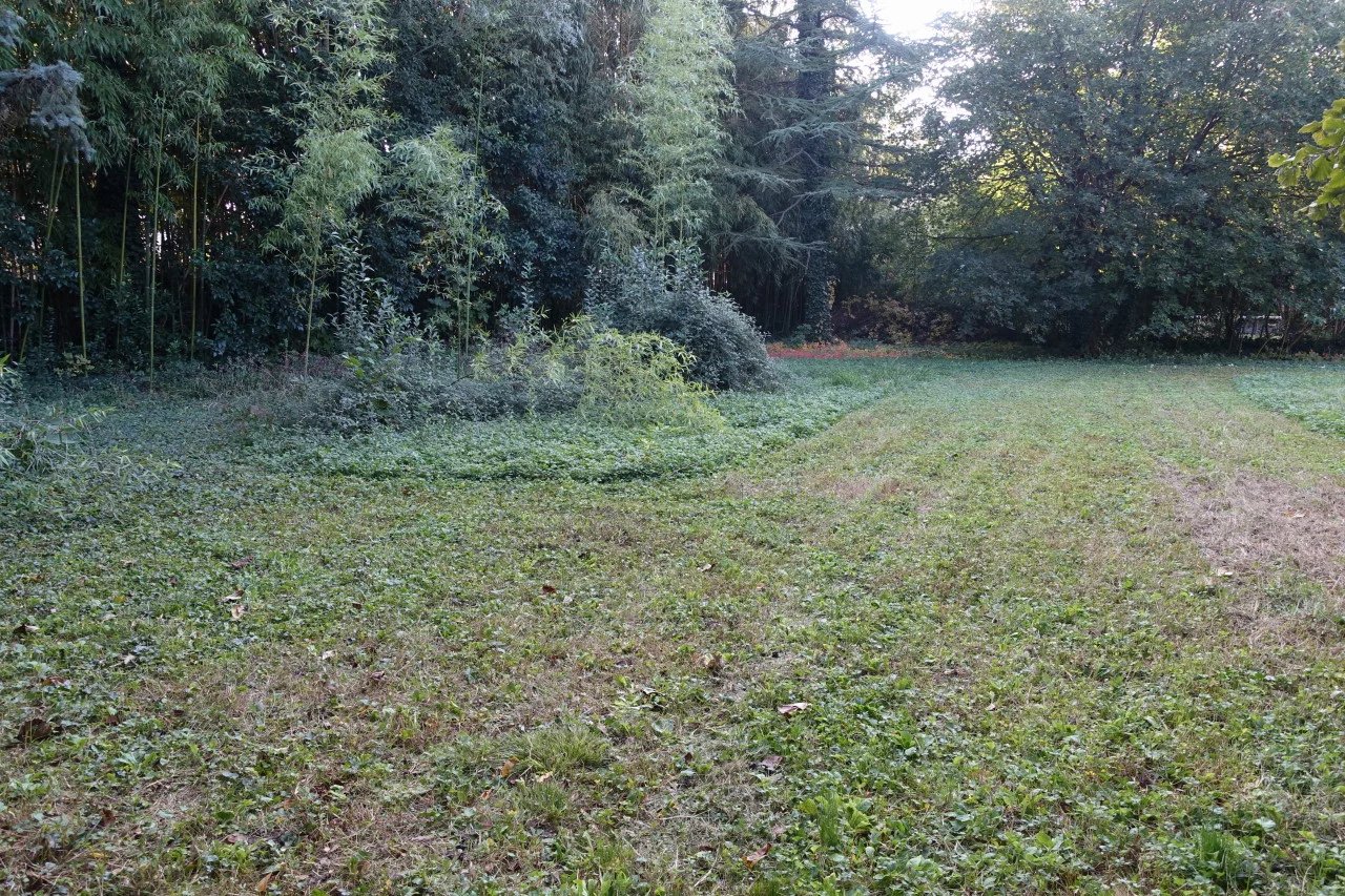 Maison de 165 m² avec Parc Arboré de 2000 m² — photo 6
