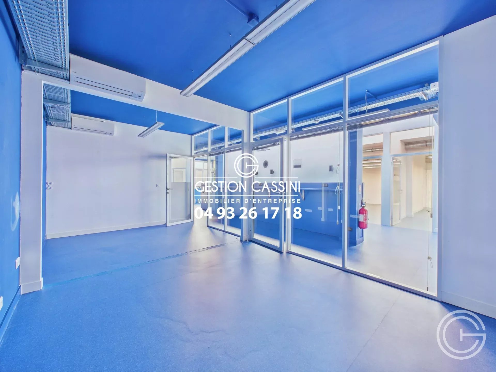 Location Local commercial Nice