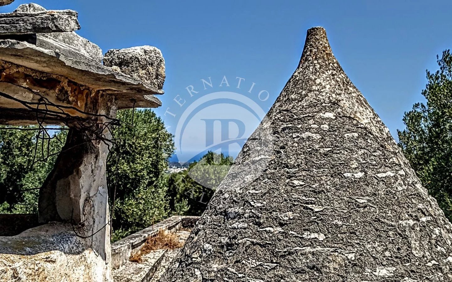 Villa in Fasano - view 1