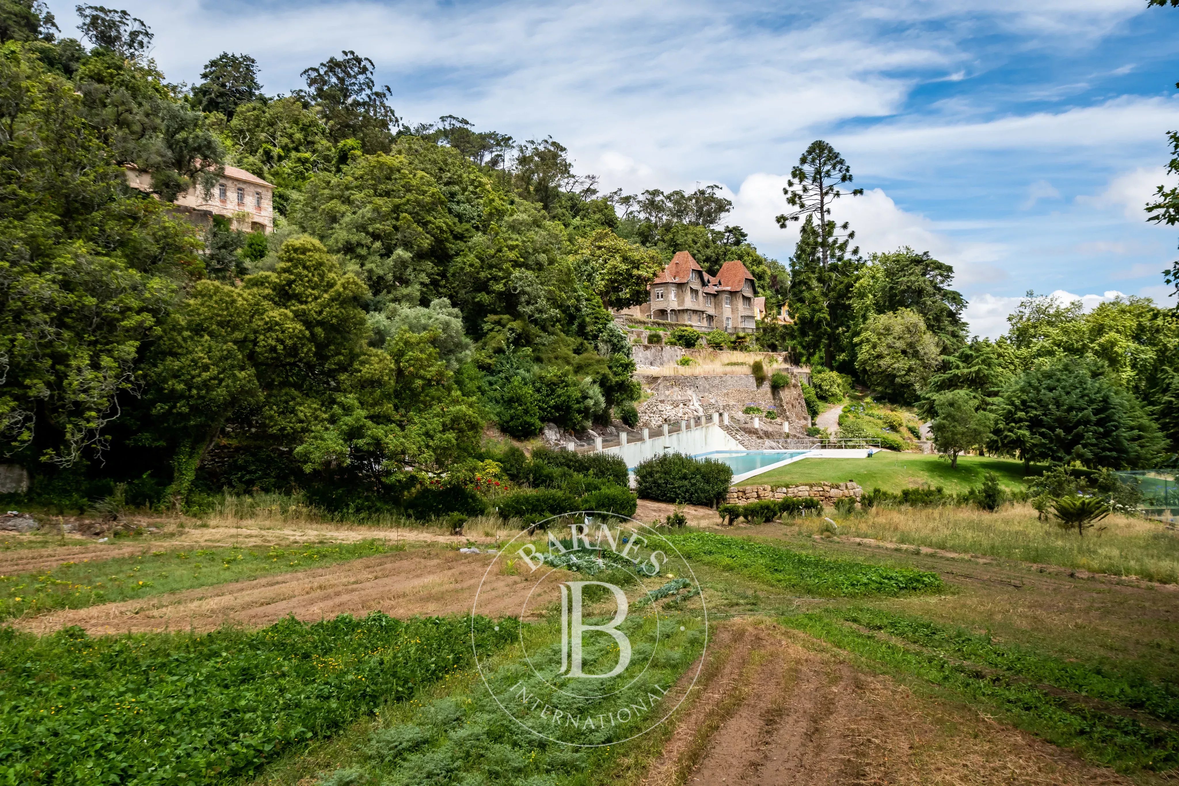 Farm in Sintra | Investment Opportunity
