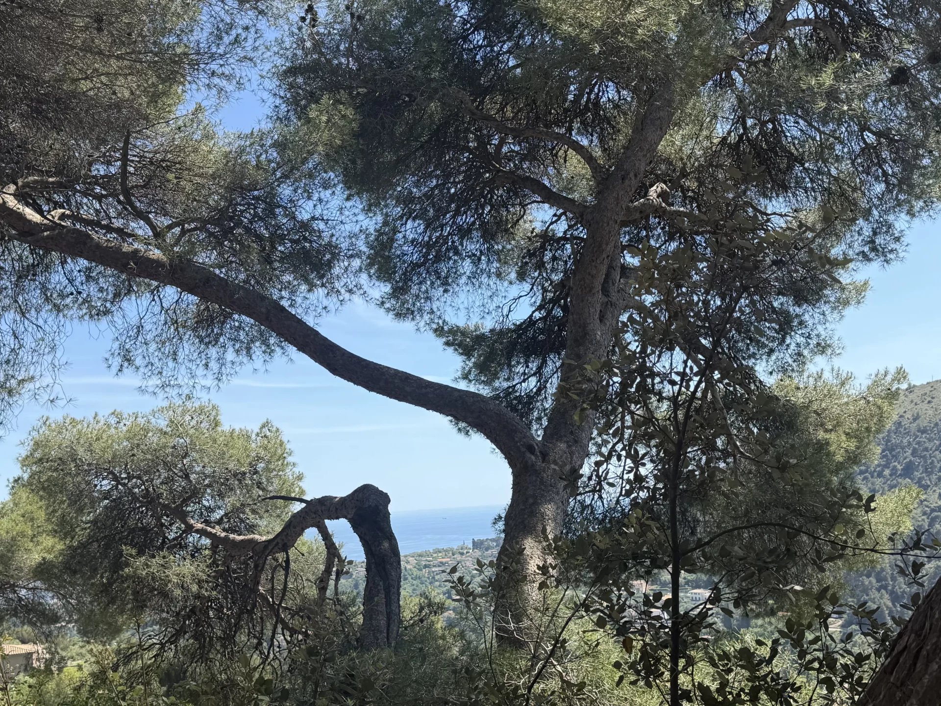 TERRAIN CONSTRUCTIBLE – FALICON