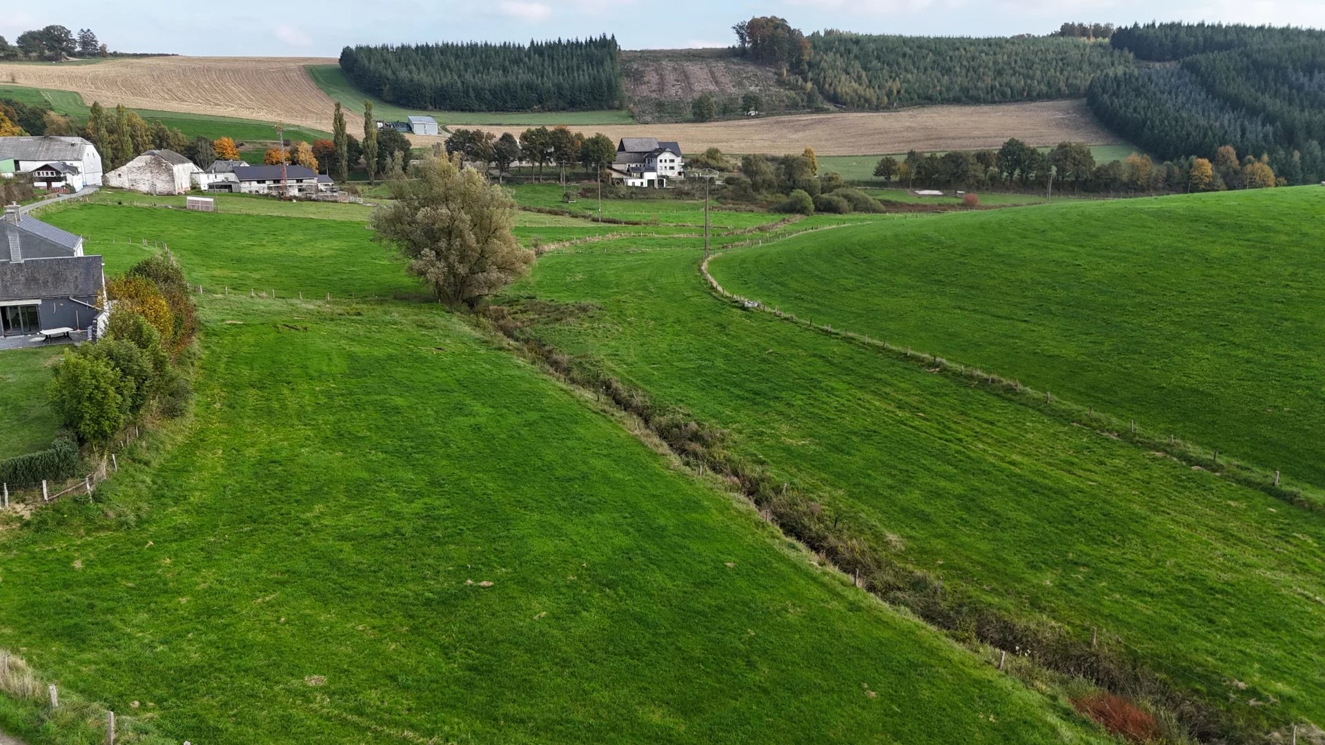 GrundstückBurg-Reuland