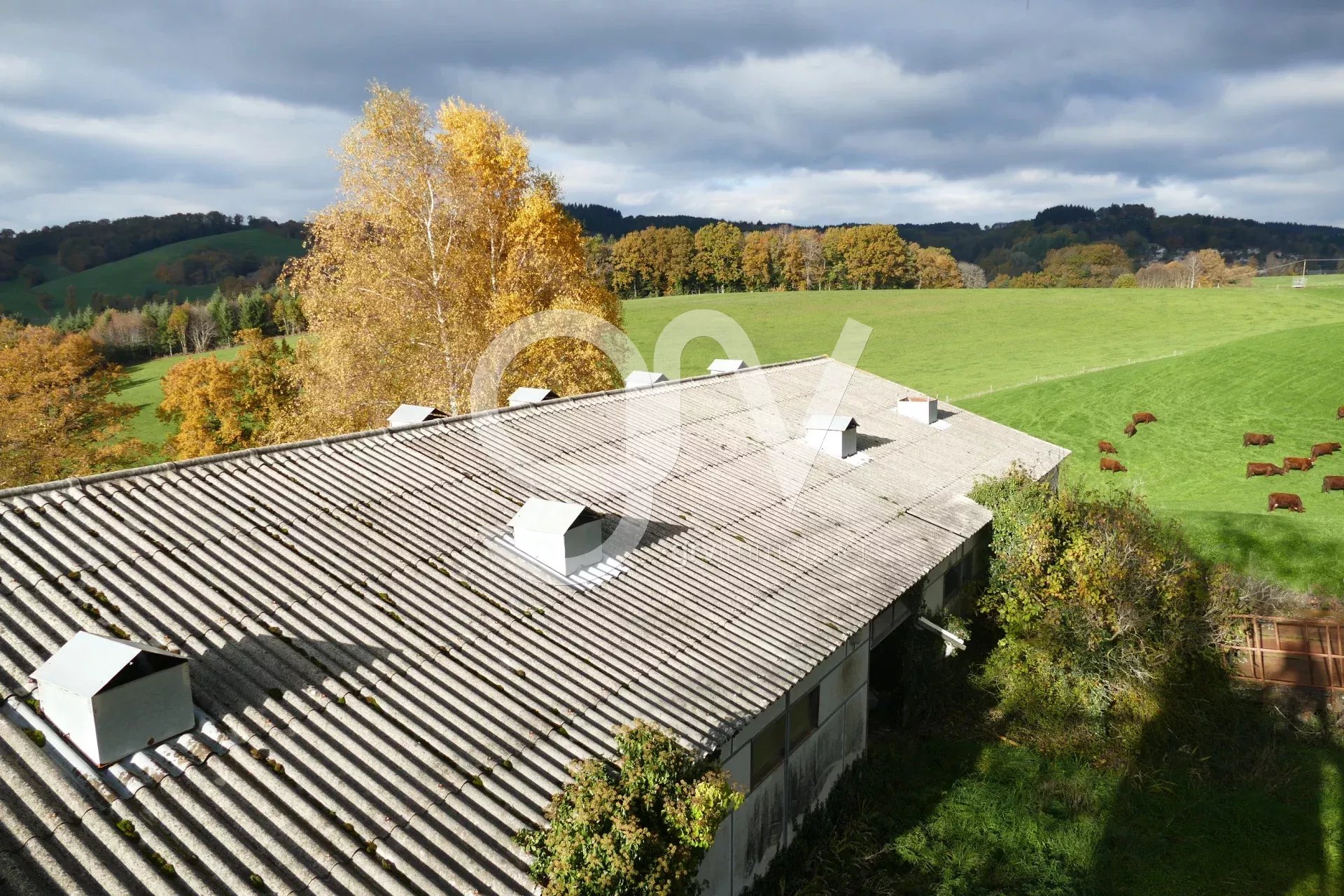 Agence immobilière de 