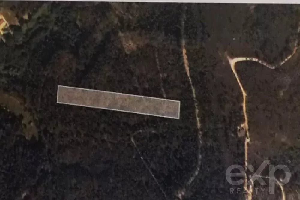 Terreno Amplo de 7400 m² em Aboim da Nóbrega