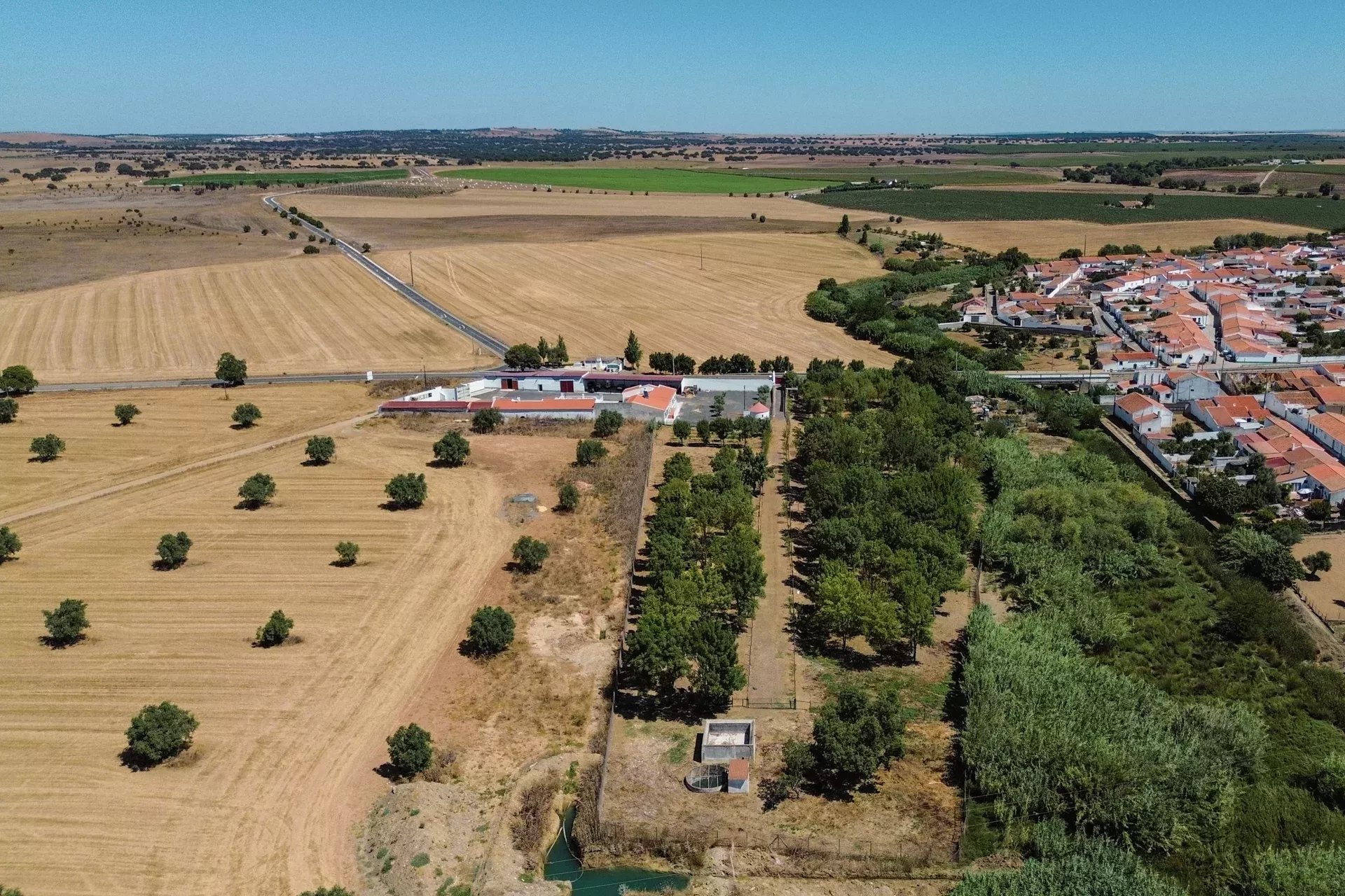 Luxury Equestrian Property + Guest House 85992157 image 5