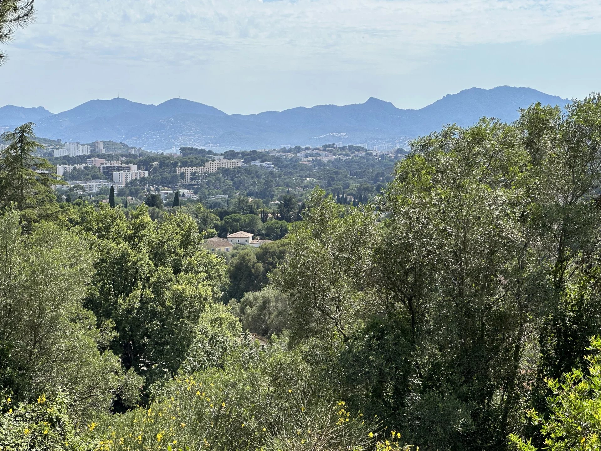 06250 MOUGINS TERRAIN