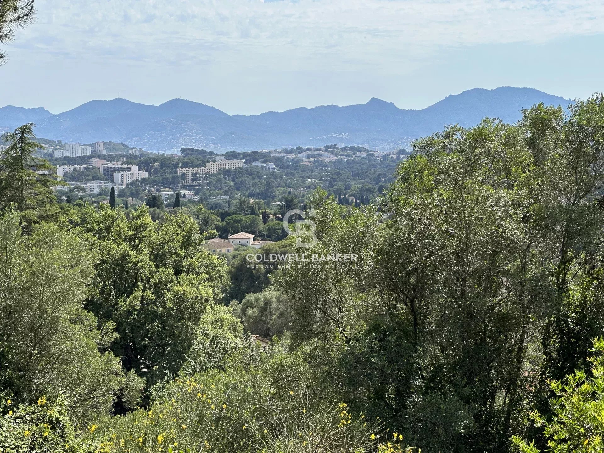 06250 MOUGINS TERRAIN