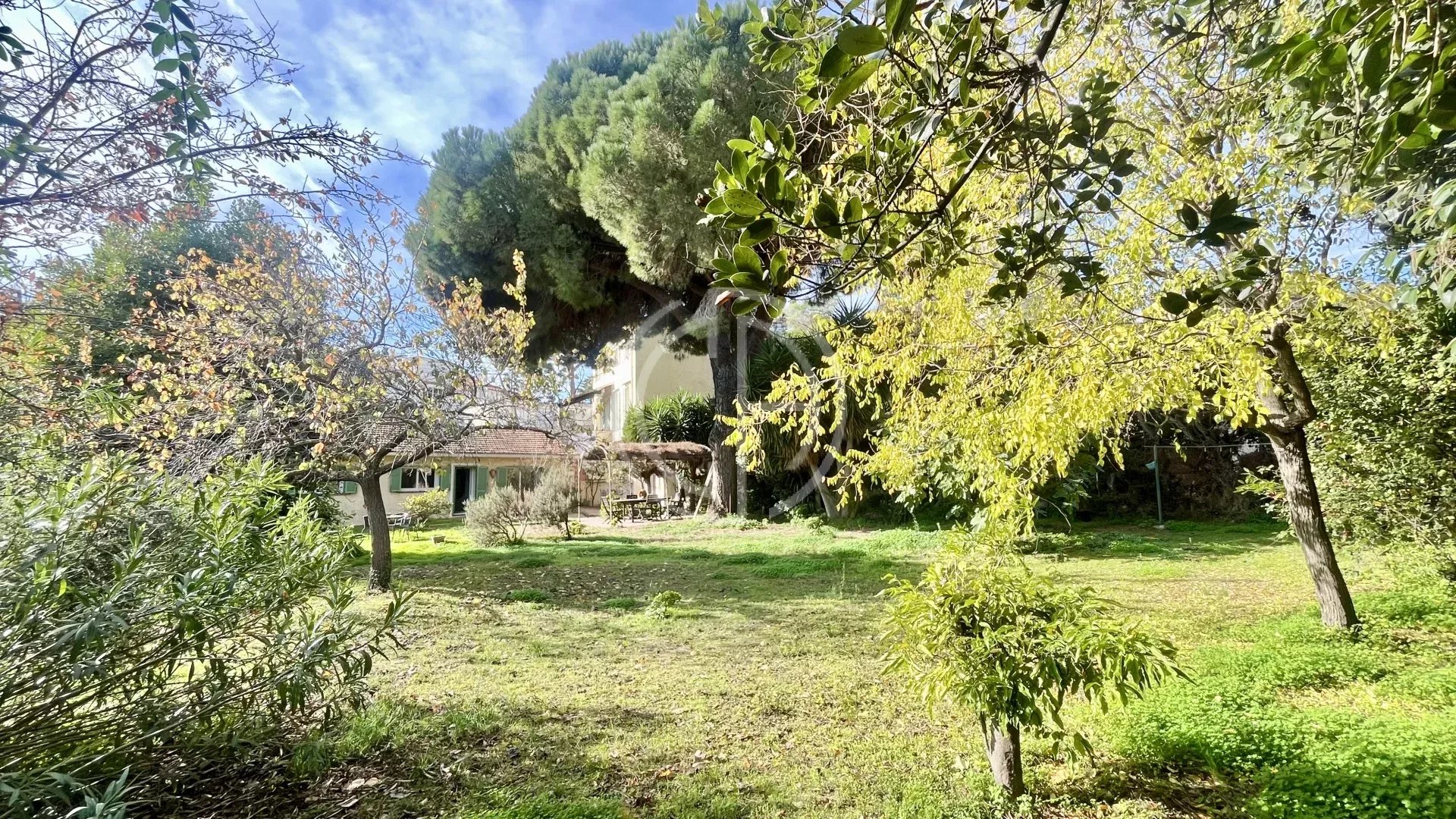 Agence immobilière de Collection d'Azur